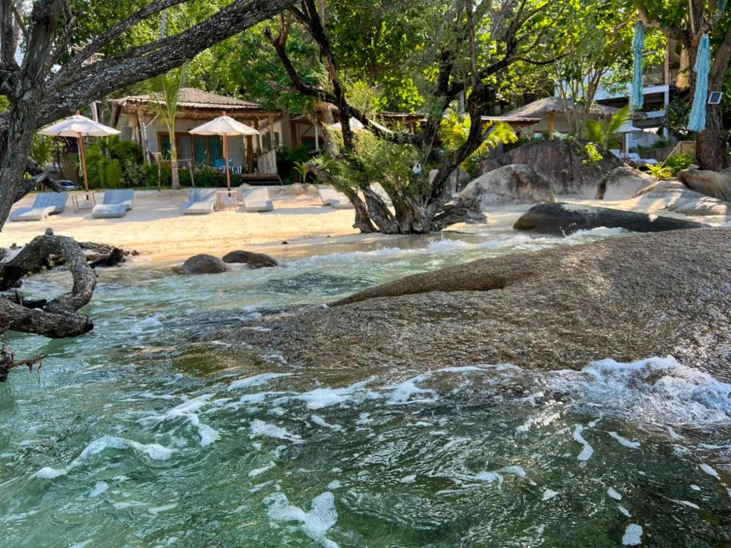 Siam Cookies Cottage