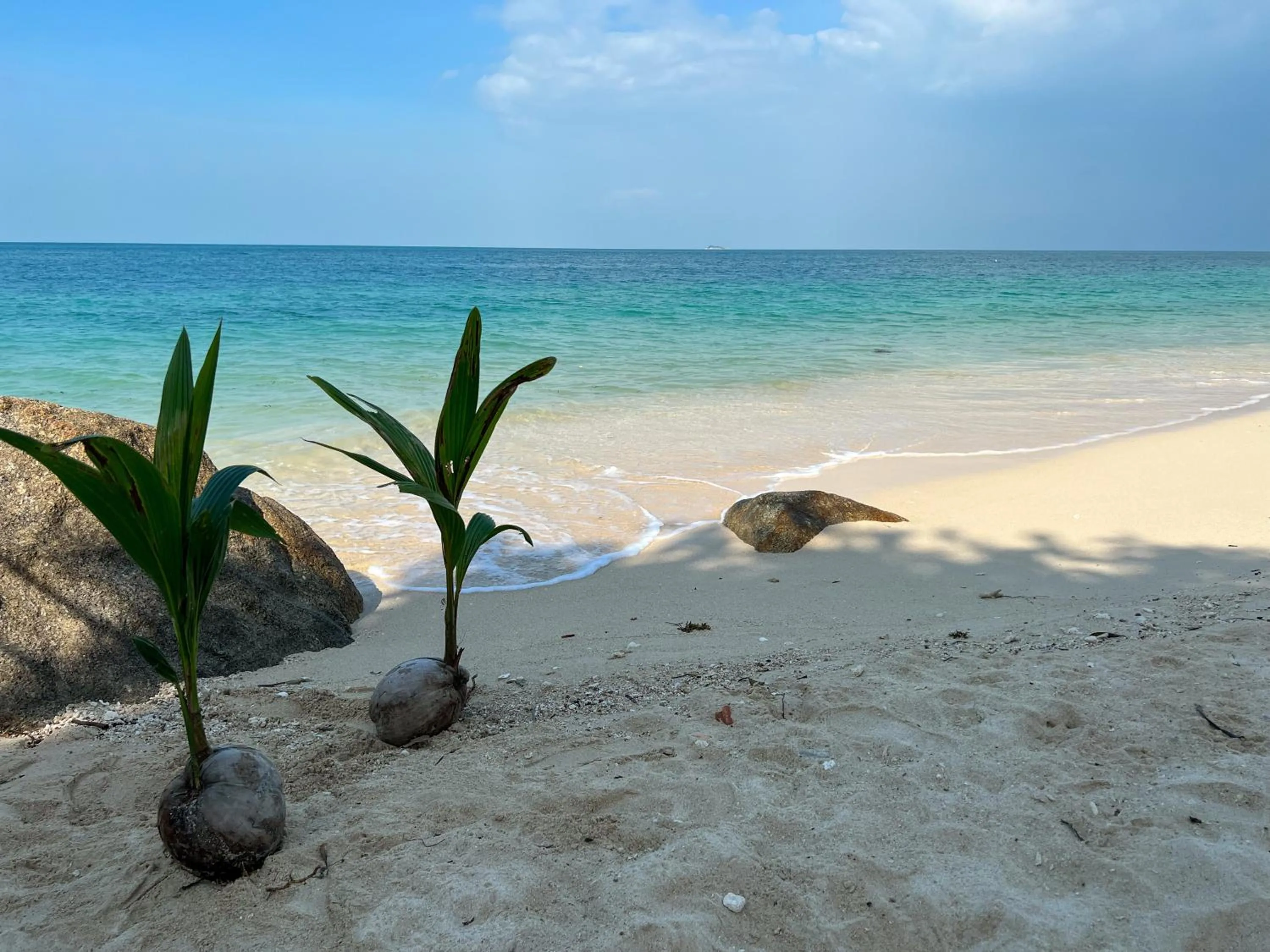 Siam Cookies Cottage