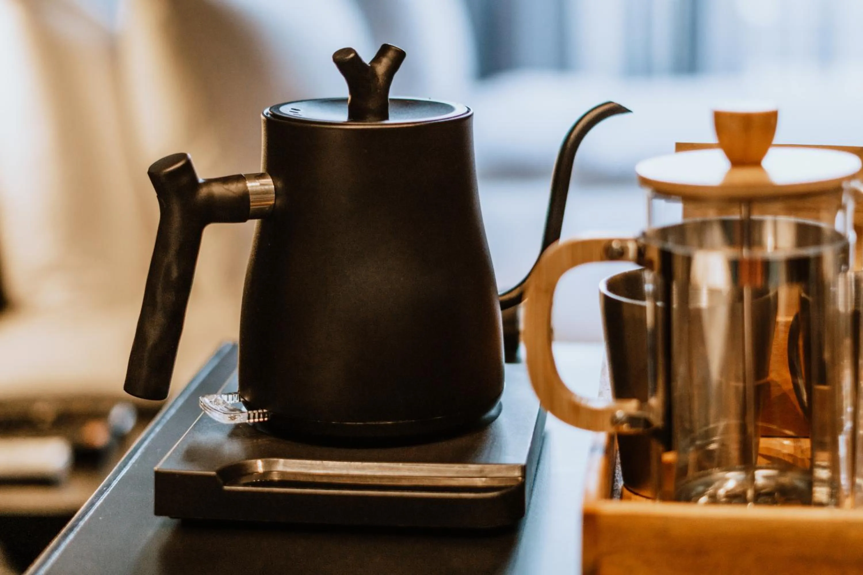 The Funny Lion - El Nido