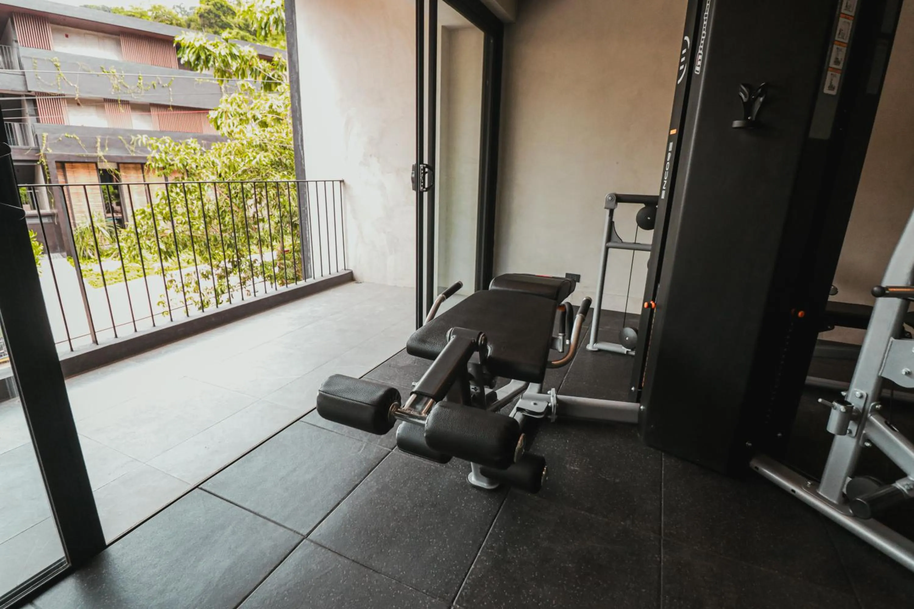 The Funny Lion - El Nido