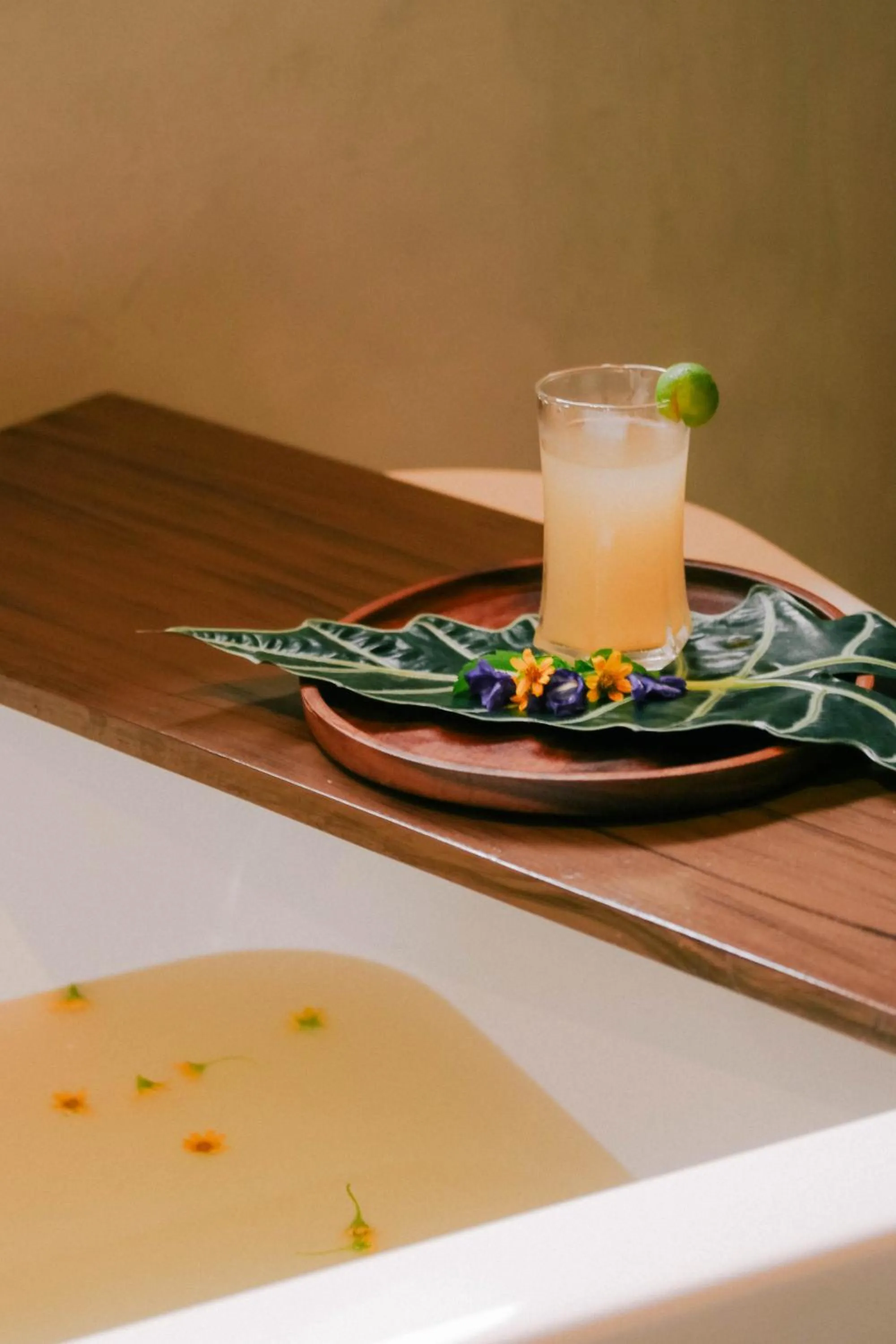 The Funny Lion - El Nido