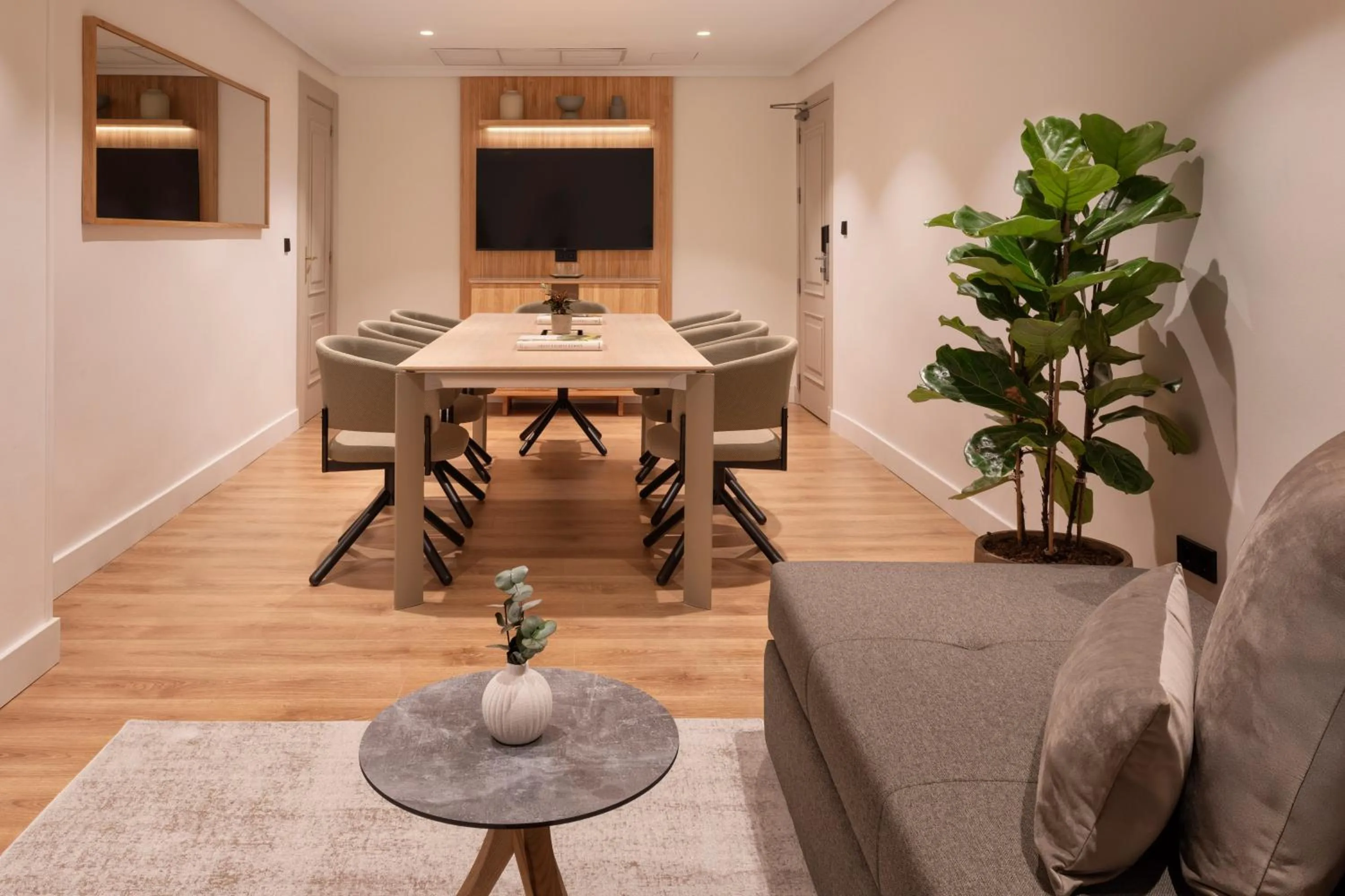 TV and multimedia in Melia Barajas