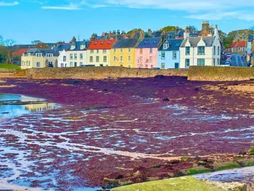 The Coastal Inn OUTBUILDING