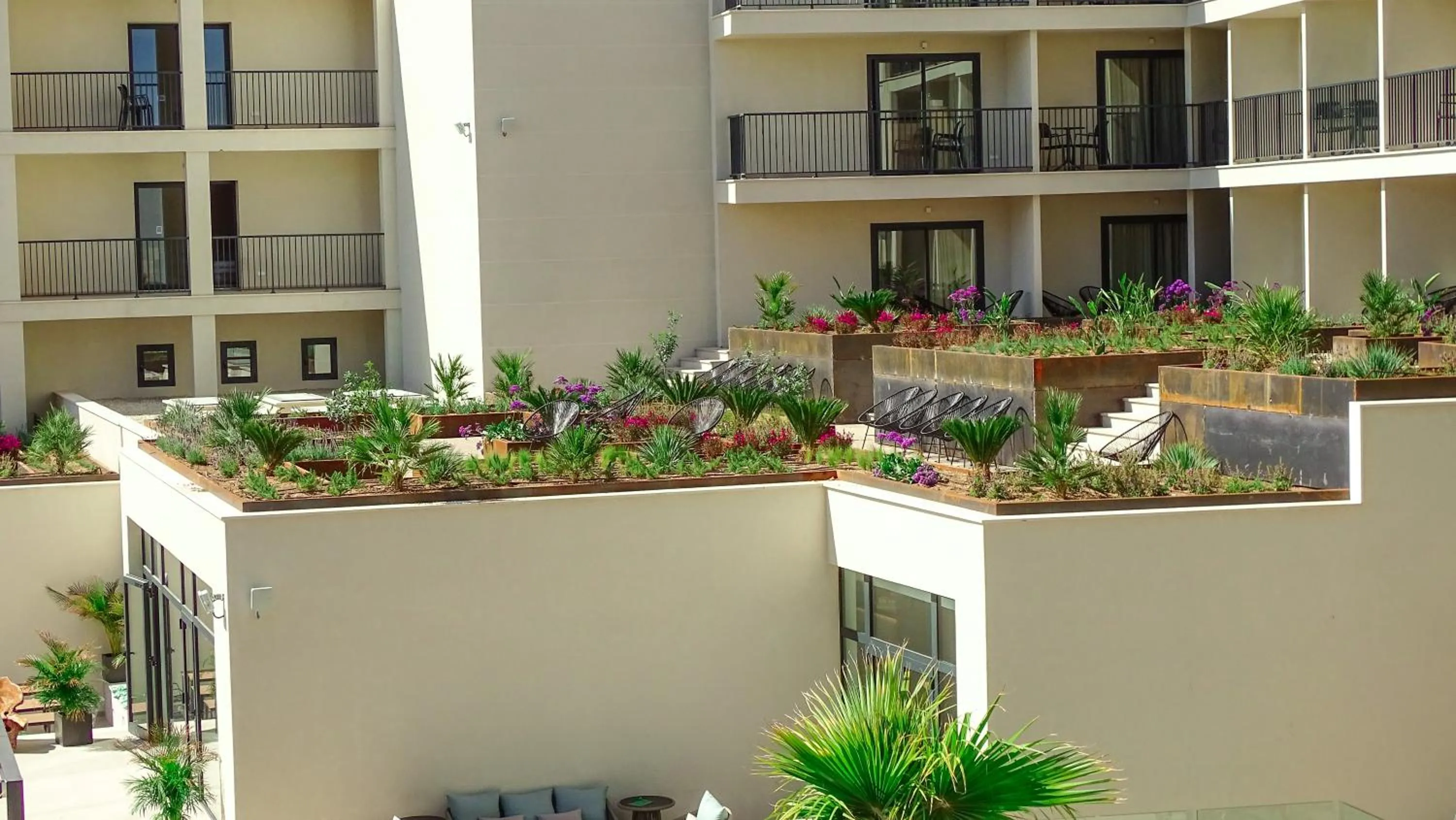 Garden in Hotel Paradiso Garden