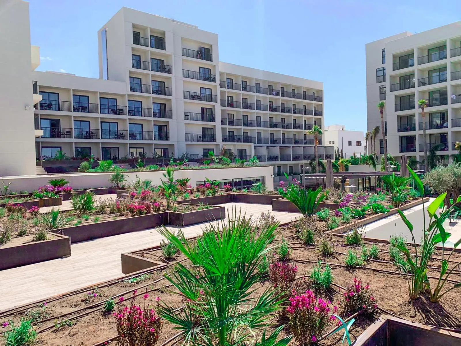 Other in Hotel Paradiso Garden