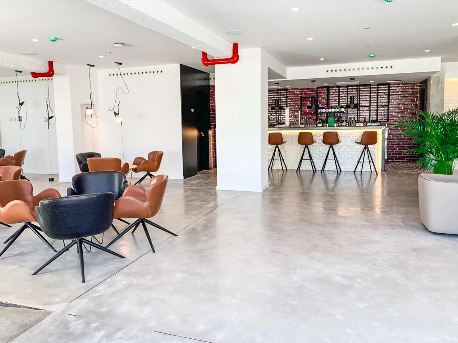 Lounge or bar in Hotel Paradiso Garden