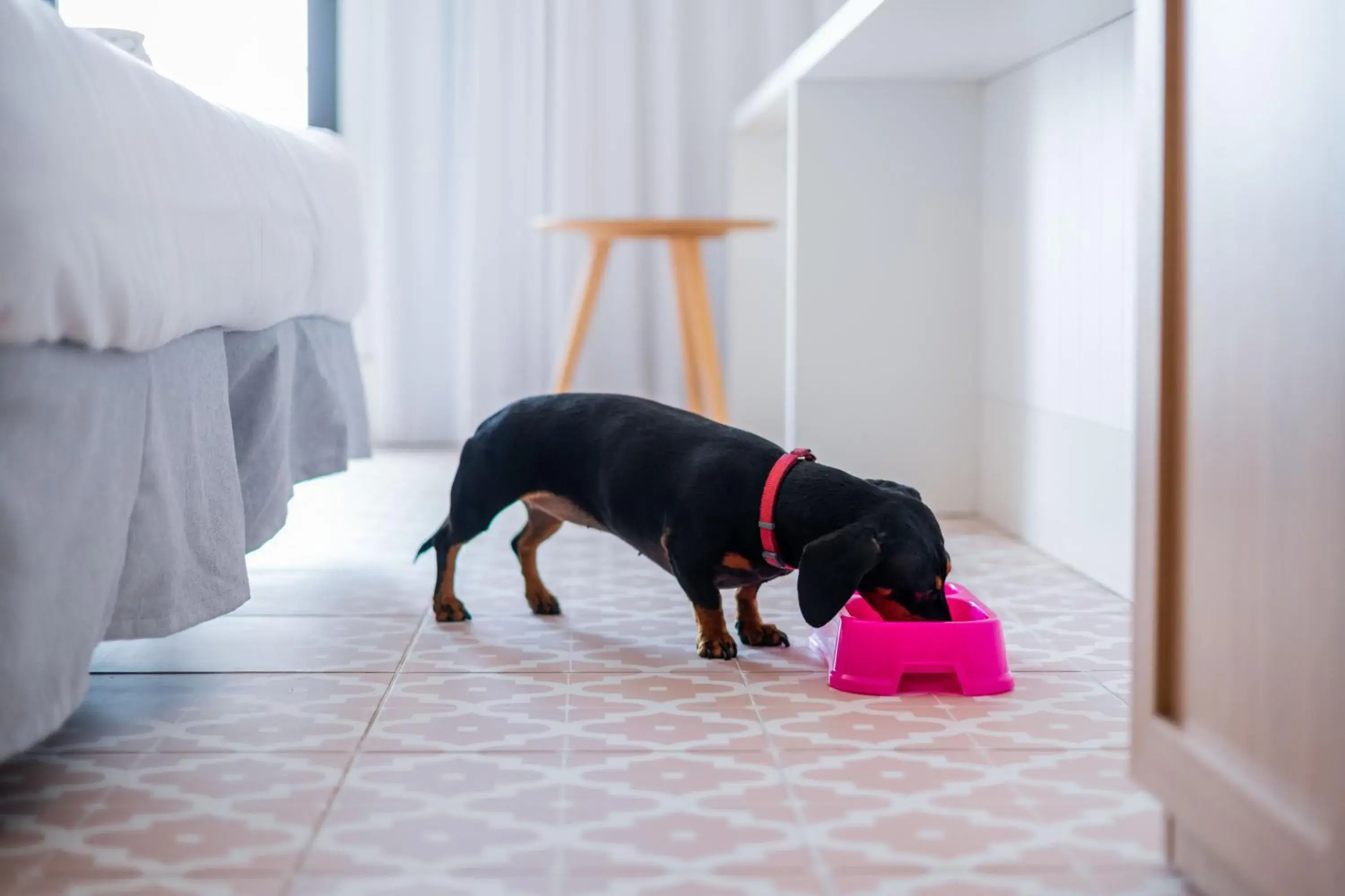 Neptuno Hotel & SPA 4 Sup Neptuno Hotel & SPA 4 Sup