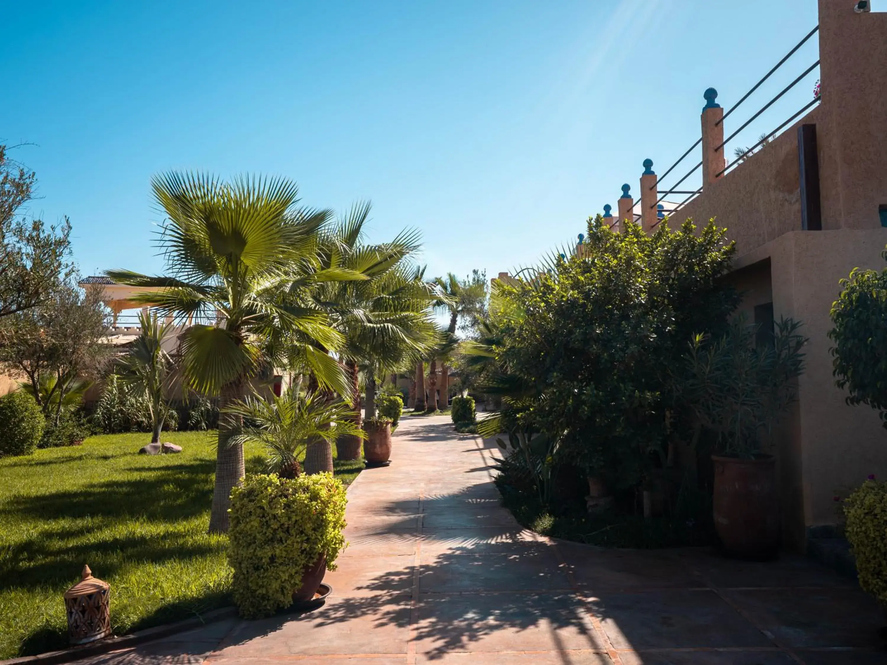 Garden view in Maison Daouia Garden view in Maison Daouia