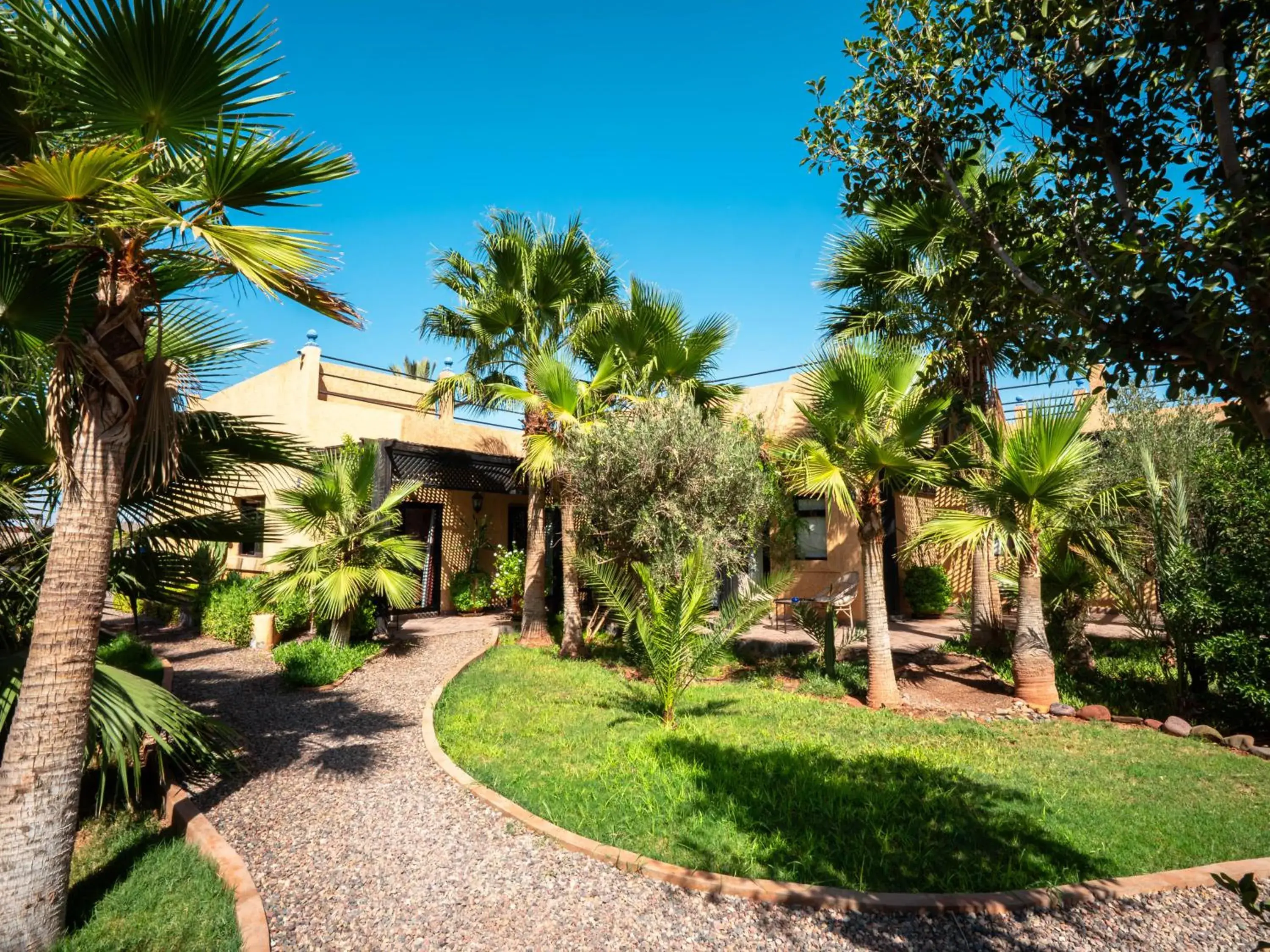 Garden view in Maison Daouia Garden view in Maison Daouia