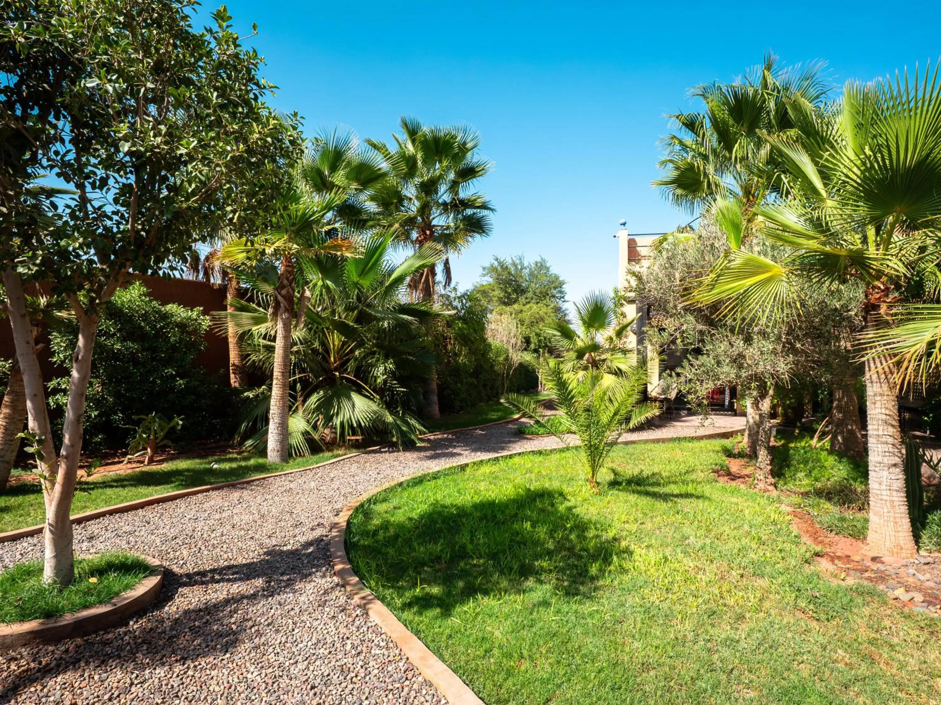 Garden in Maison Daouia