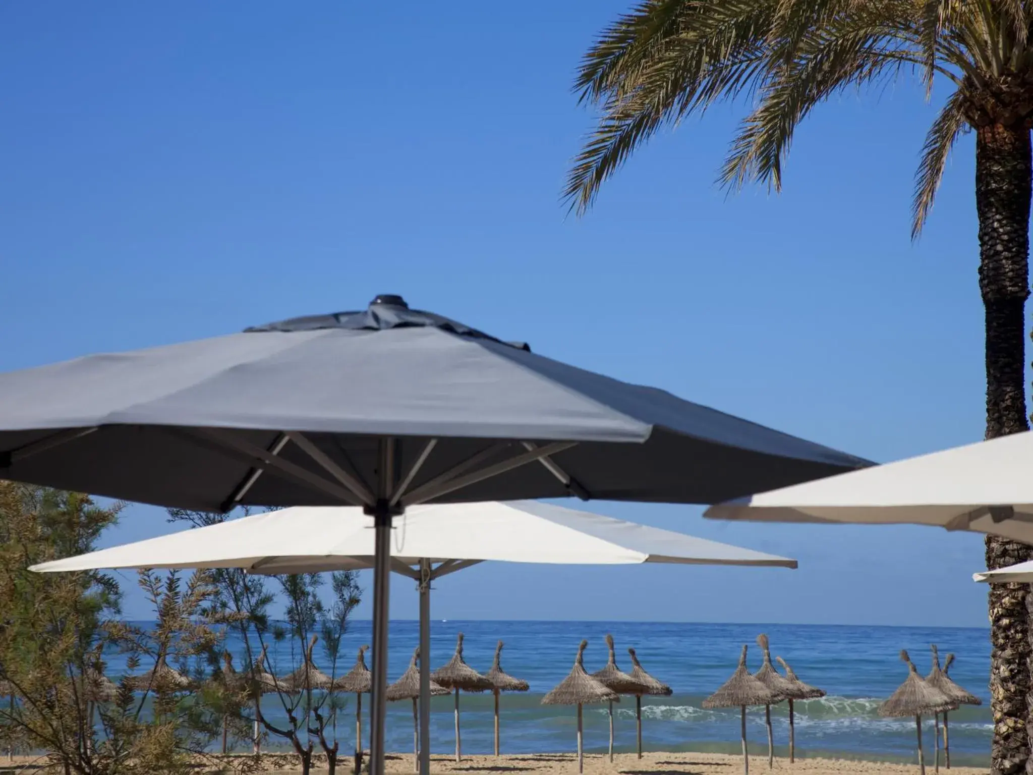 Facade/entrance in HM Tropical Facade/entrance in HM Tropical