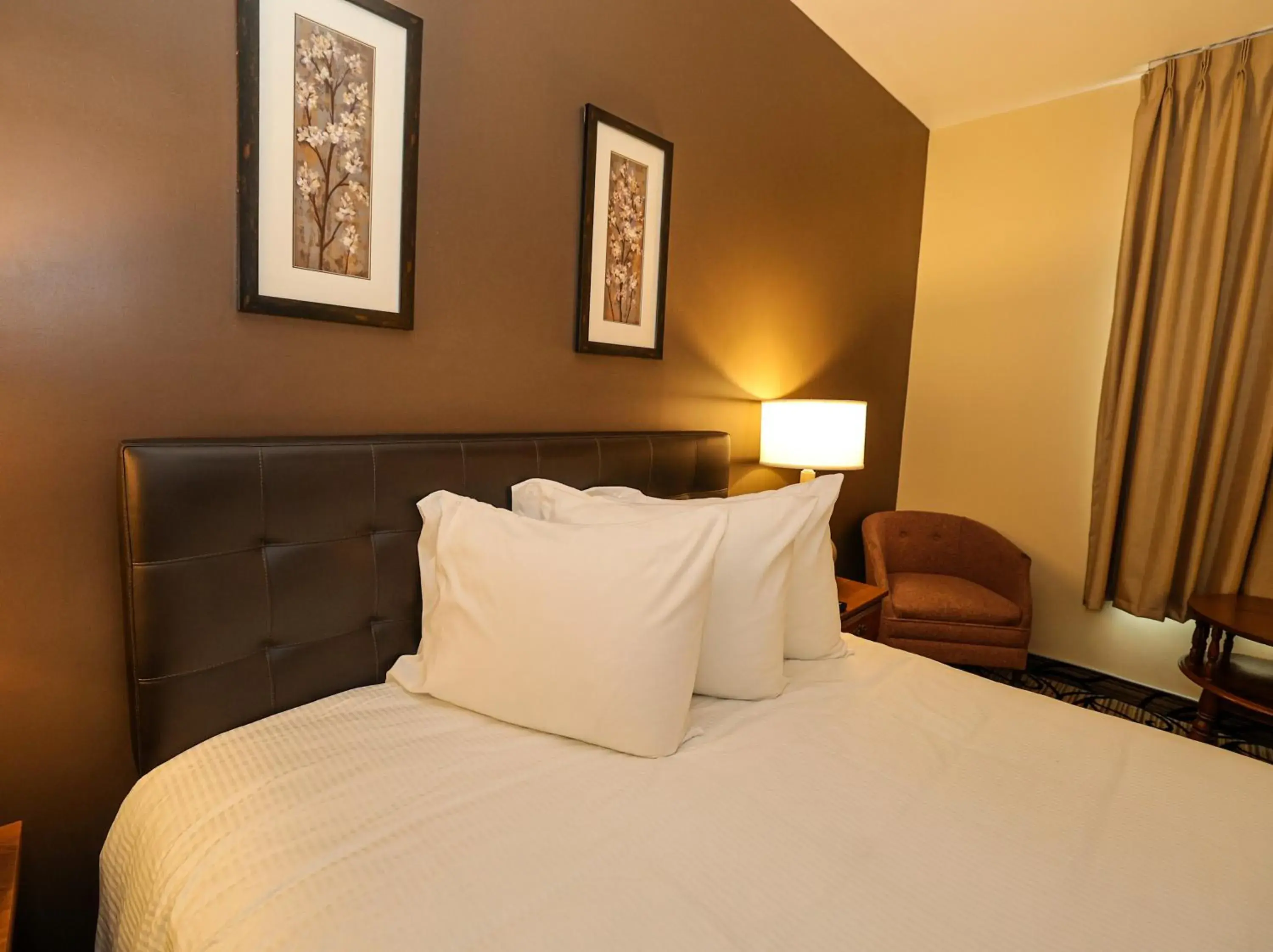 Queen Room - Disability Access in The Northeastland Hotel Queen Room - Disability Access in The Northeastland Hotel