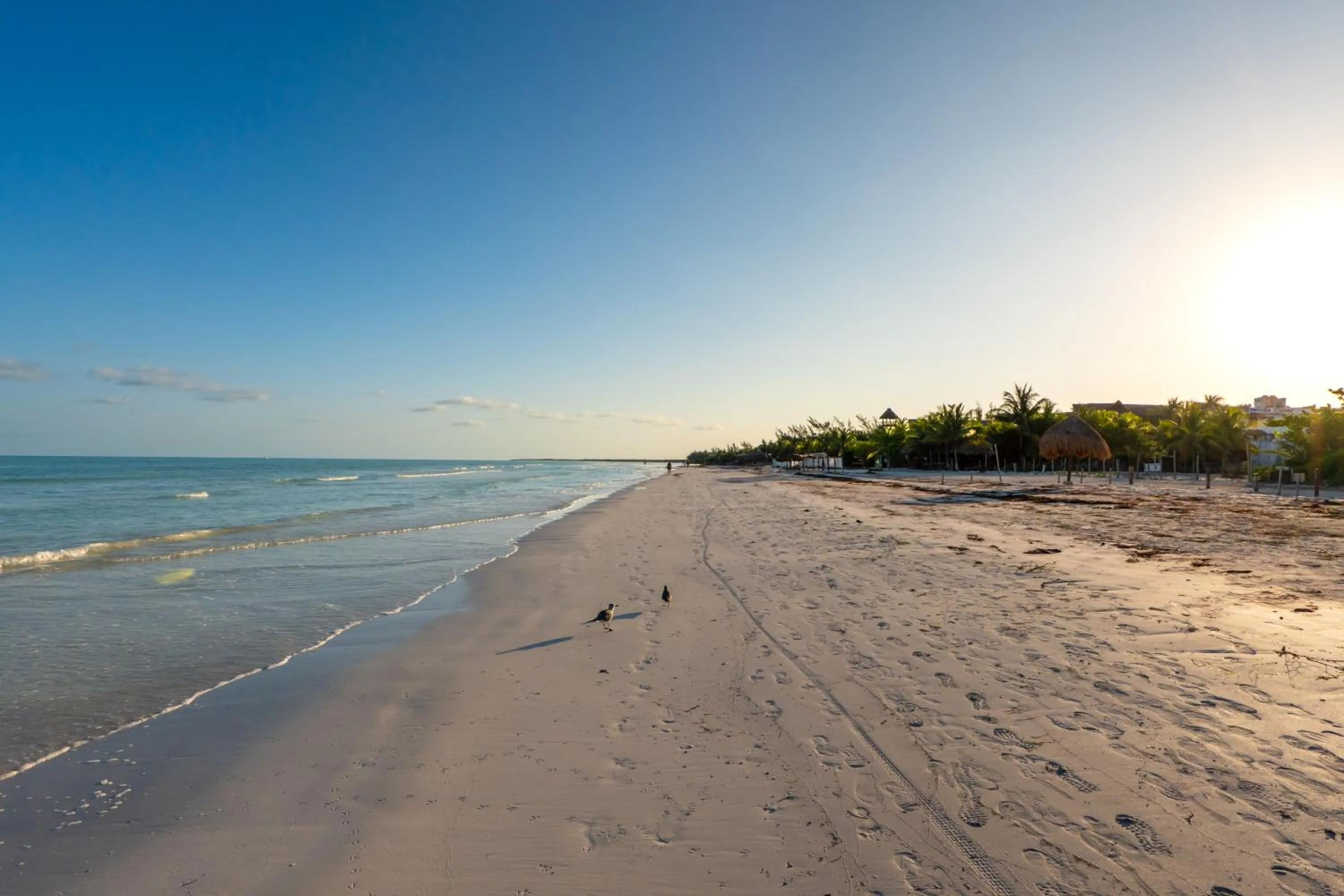 Beach in My Blue Hotel Holbox