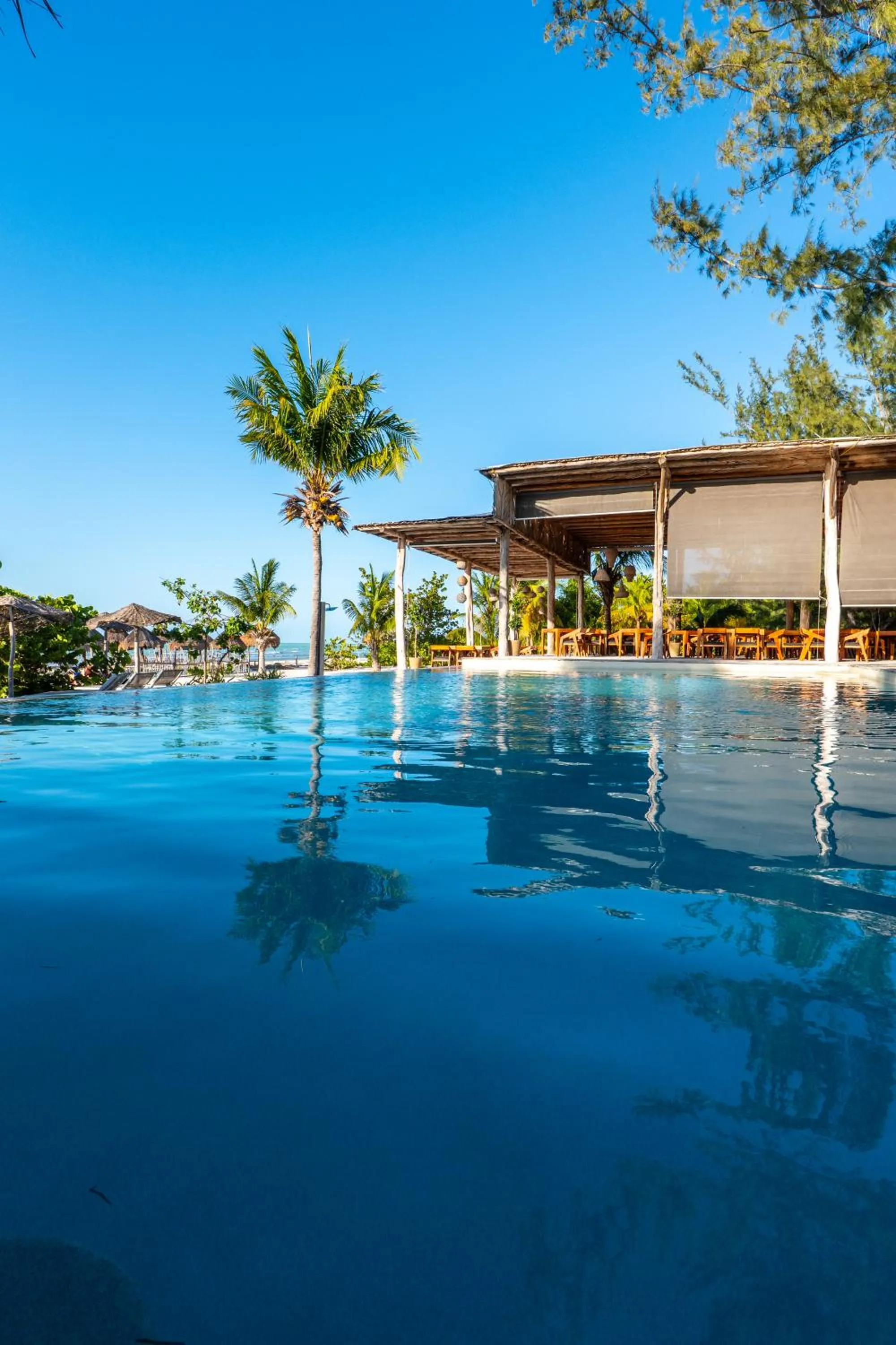 Swimming pool in My Blue Hotel Holbox
