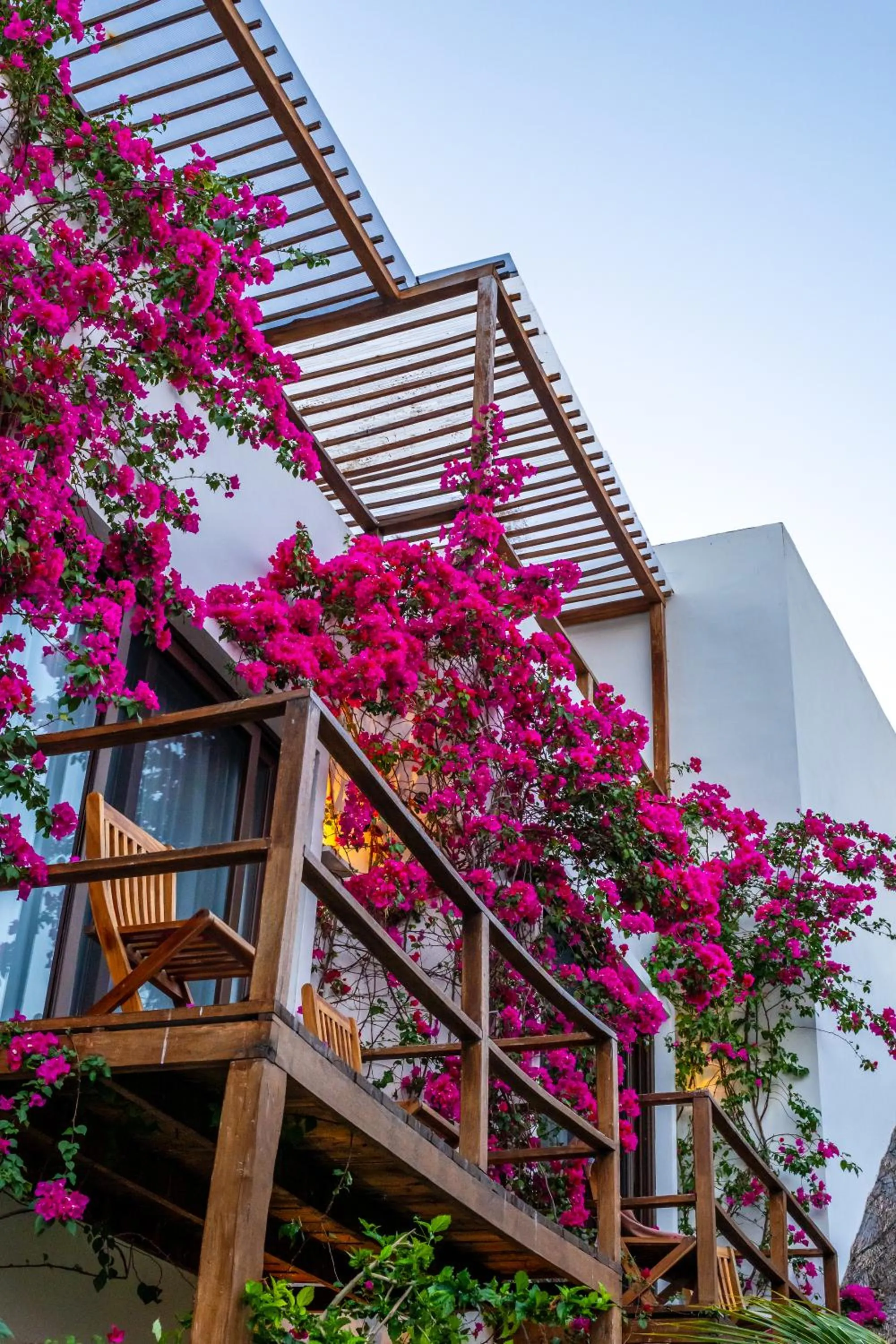 Garden in My Blue Hotel Holbox