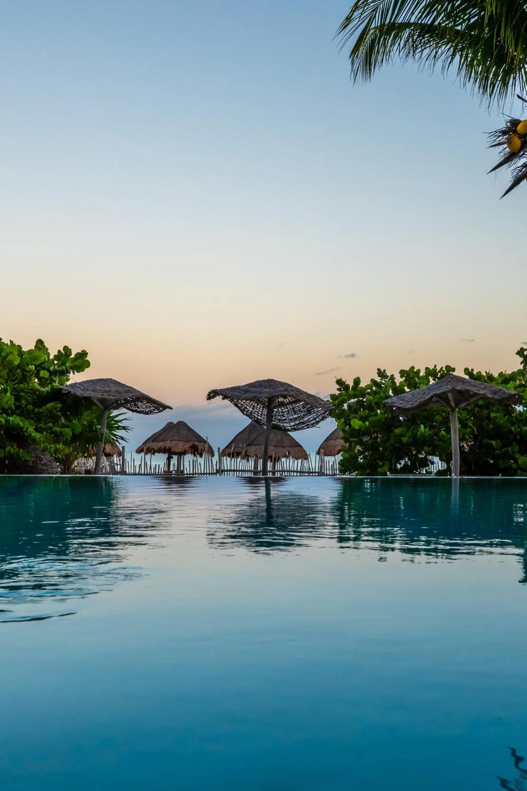 Beach in My Blue Hotel Holbox