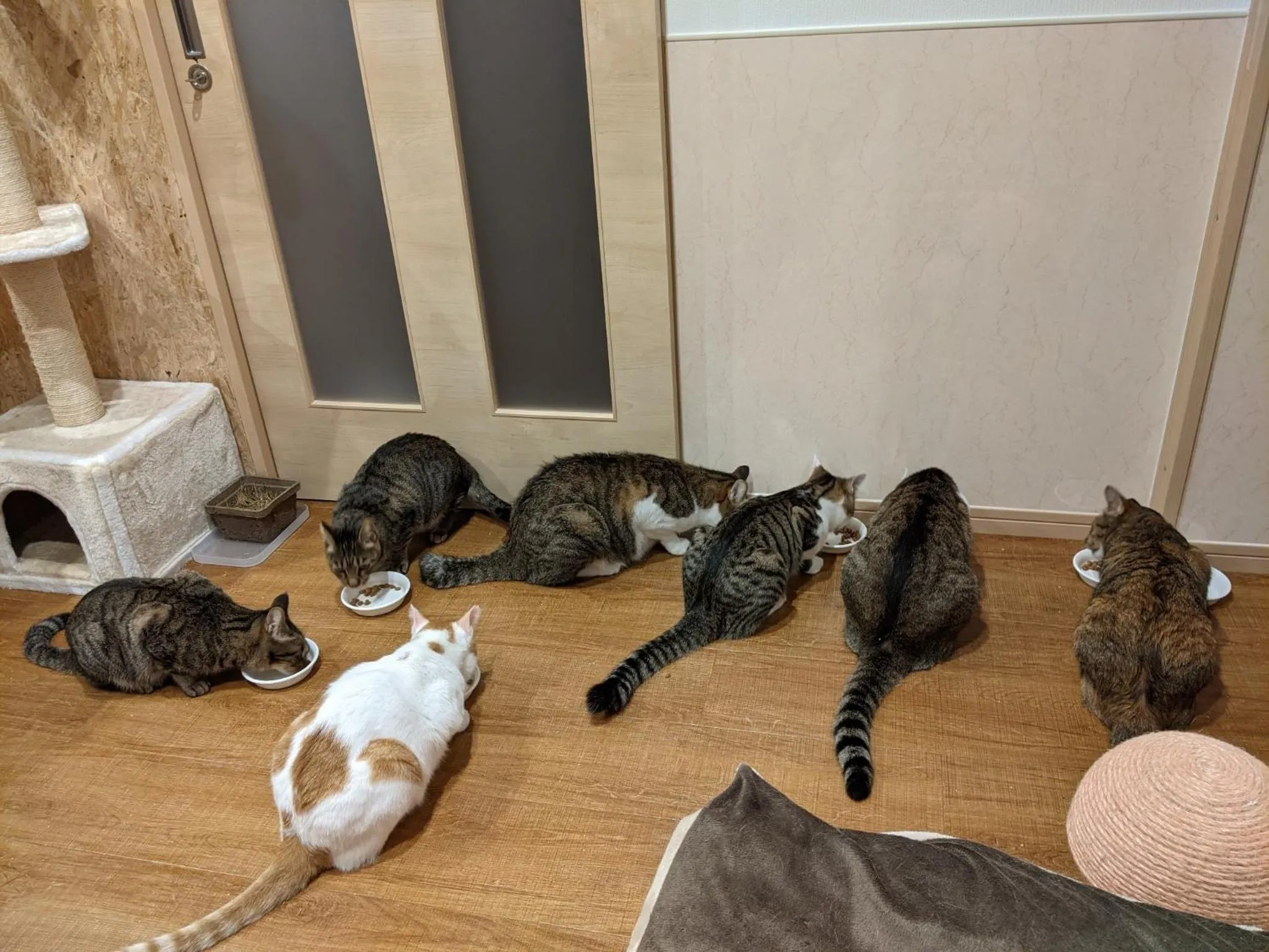 Pension Alba - Vacation STAY 70925v