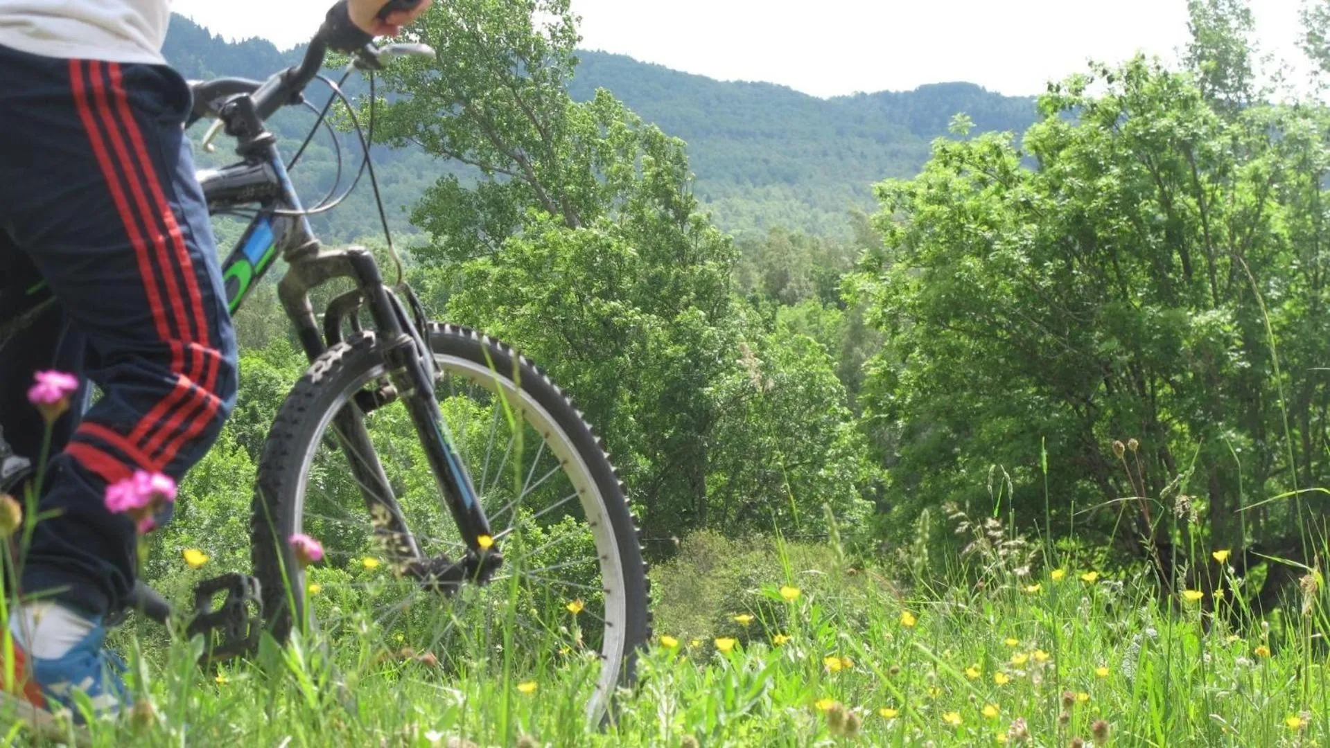 Activities in Evenia Monte Alba