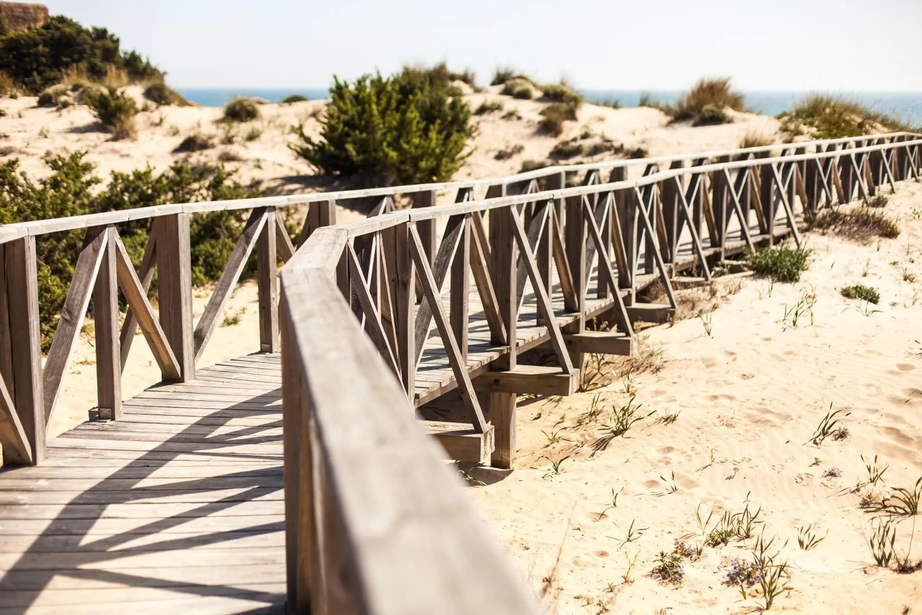 Facade/entrance in Valentin Sancti Petri Facade/entrance in Valentin Sancti Petri