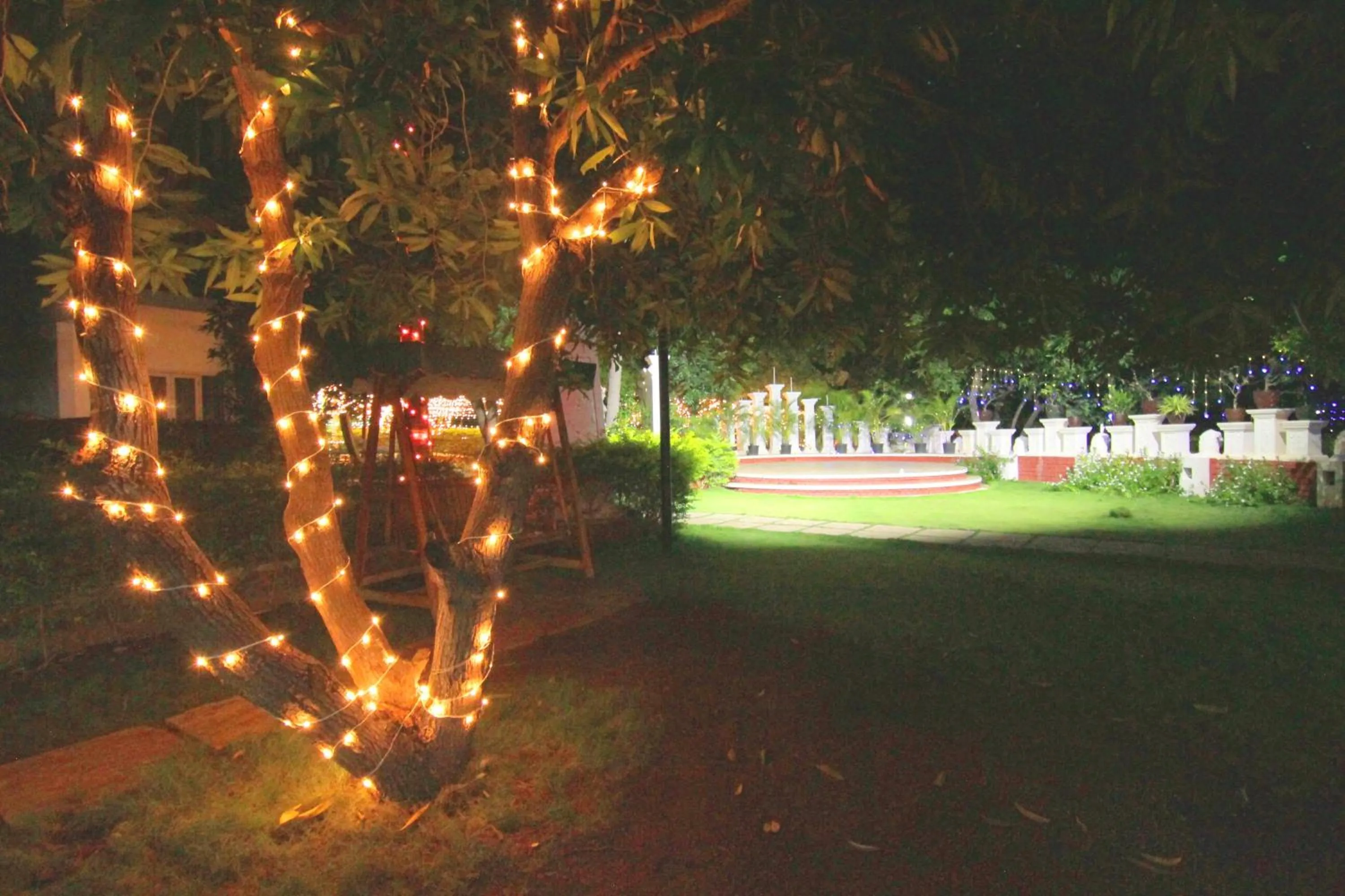 Night in Reva Resorts and Holiday Homes