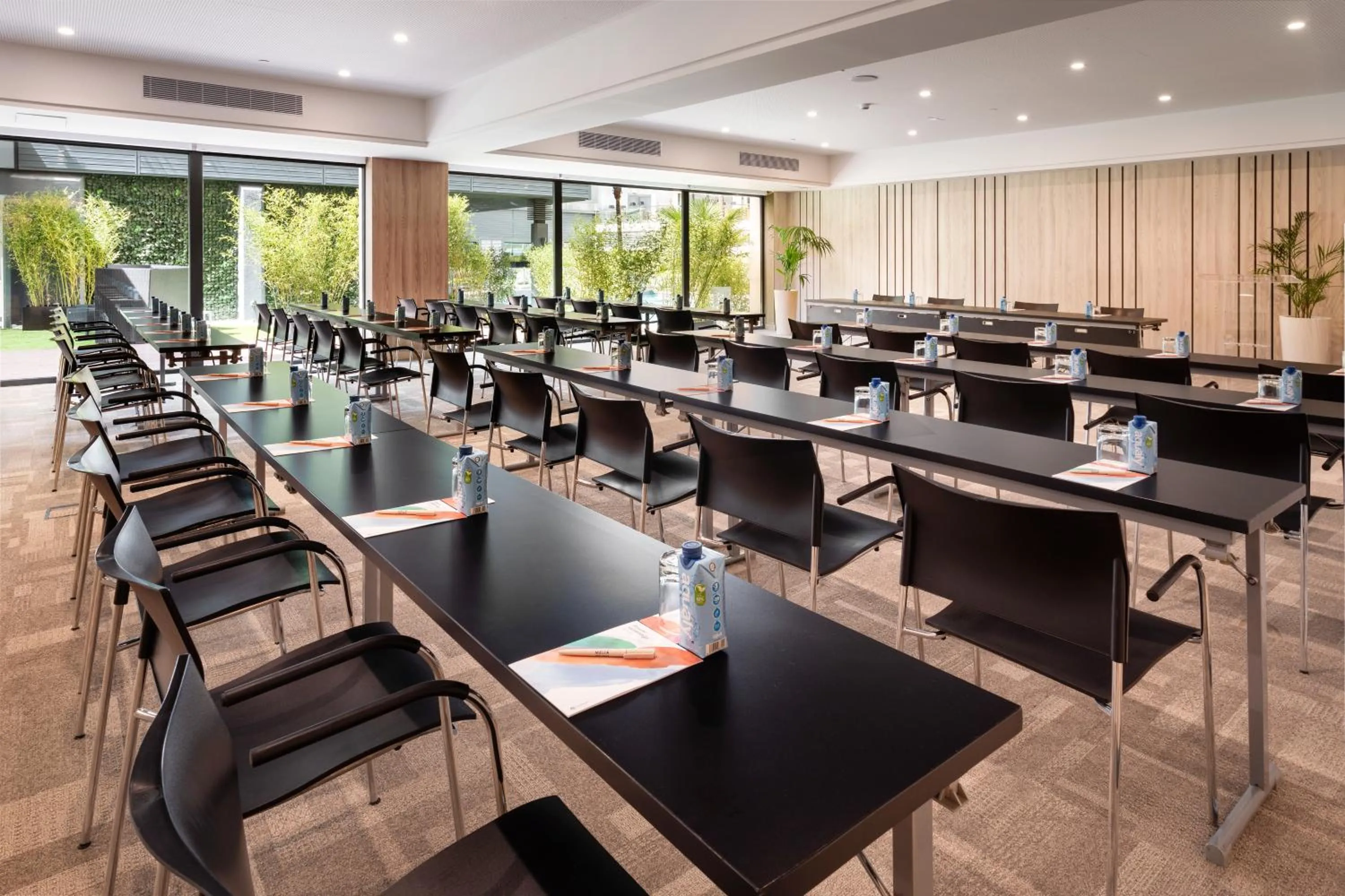 Meeting/conference room in Melia Castilla