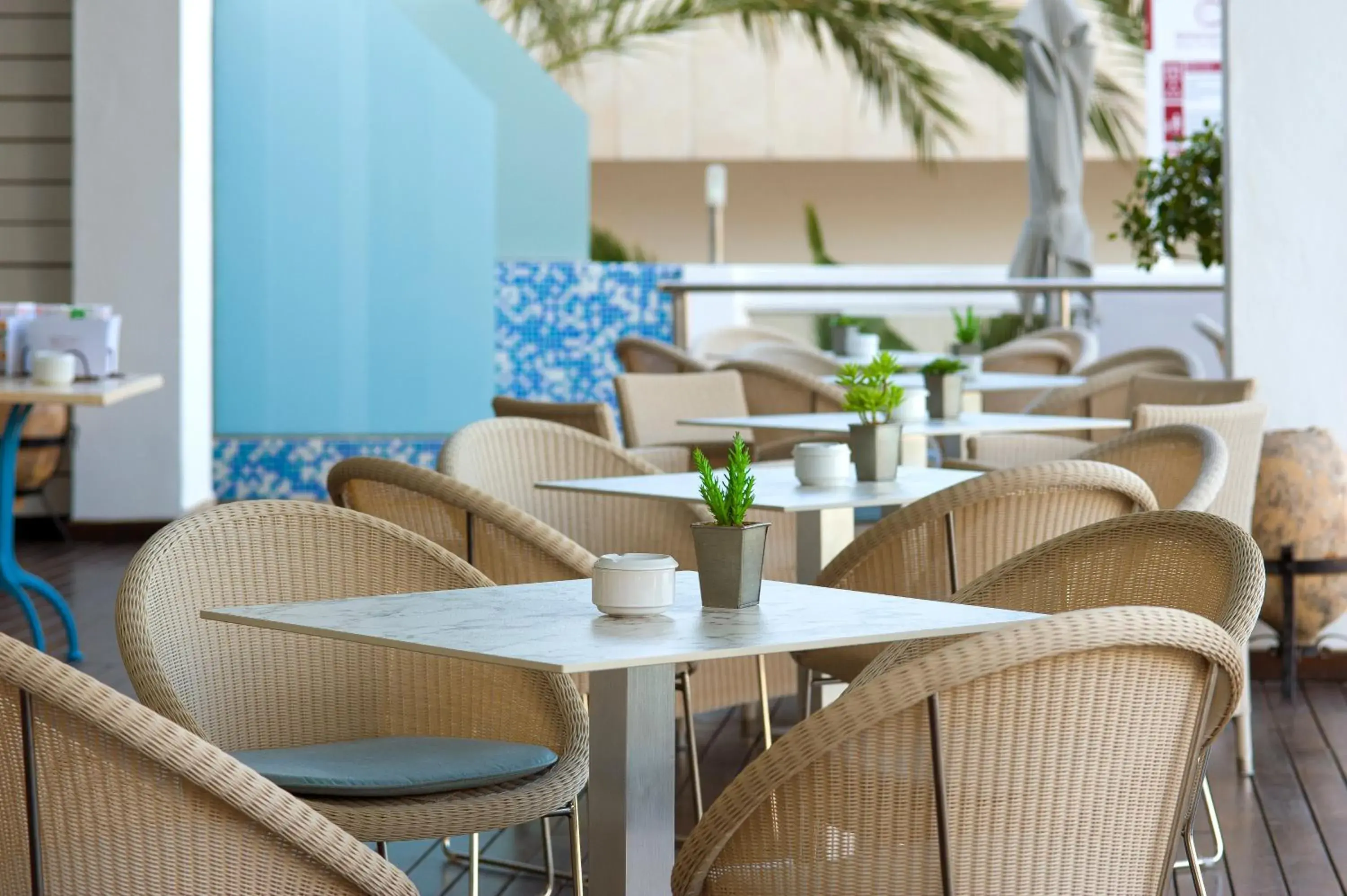 Restaurant/places to eat in Bellamar Hotel Beach & Spa Restaurant/places to eat in Bellamar Hotel Beach & Spa