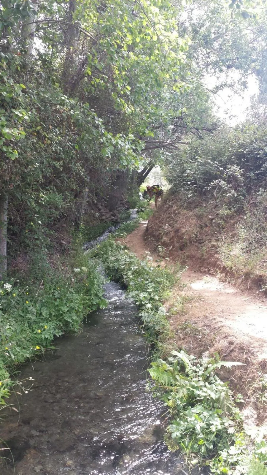 Hiking in Hotel Alcadima