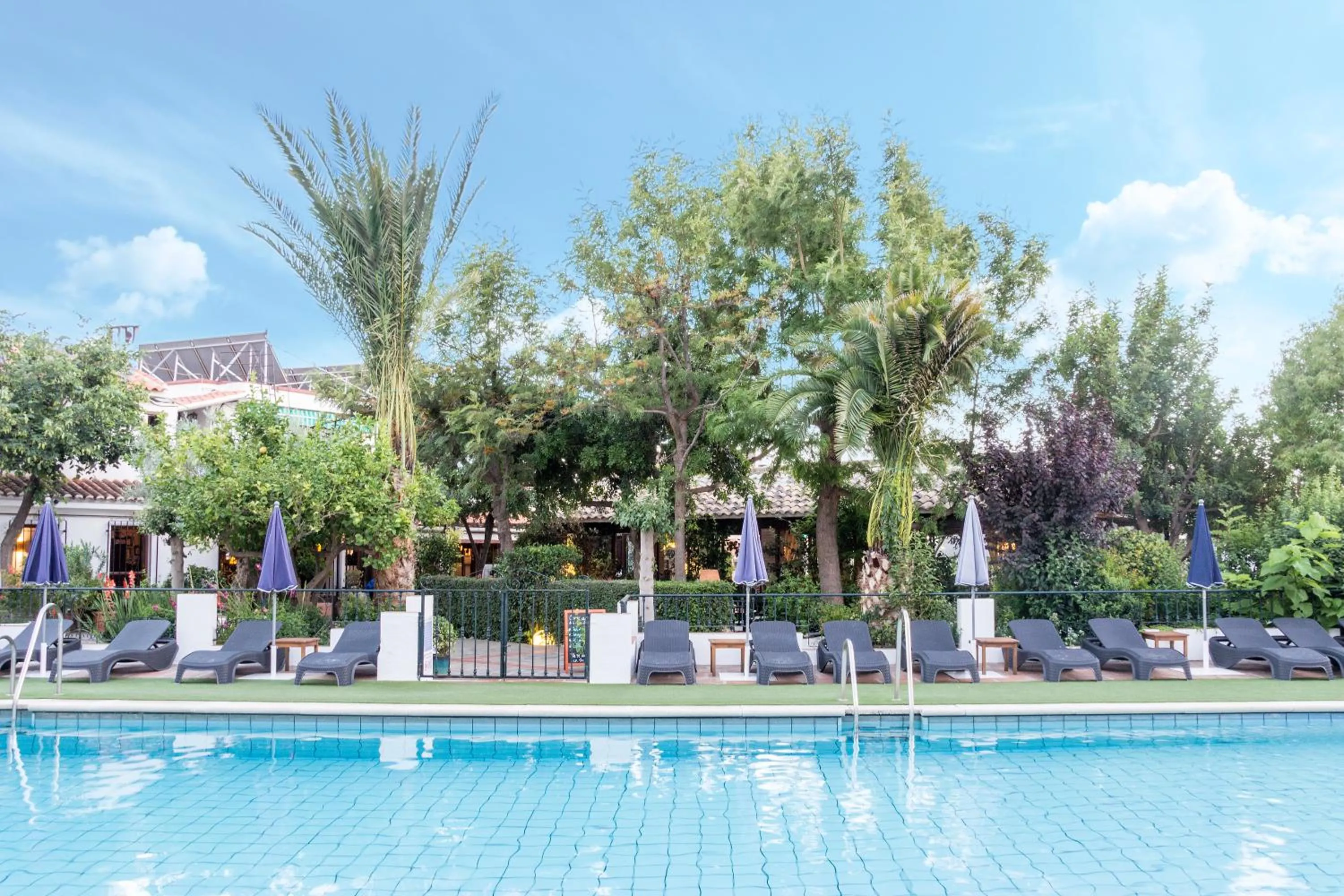 Swimming pool in Hotel Alcadima