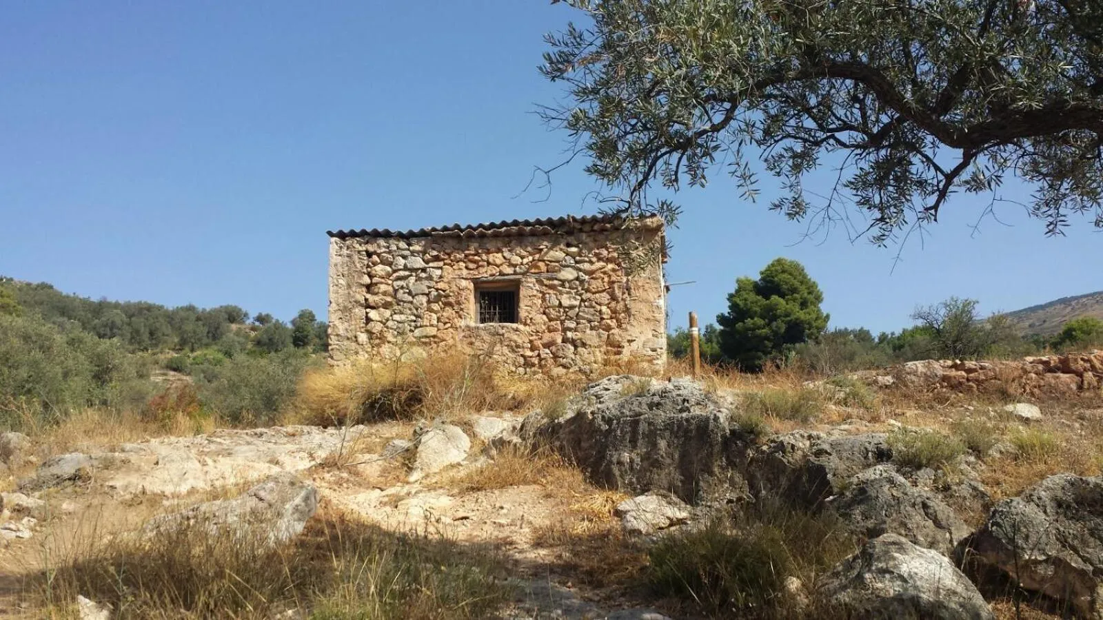 Hiking in Hotel Alcadima