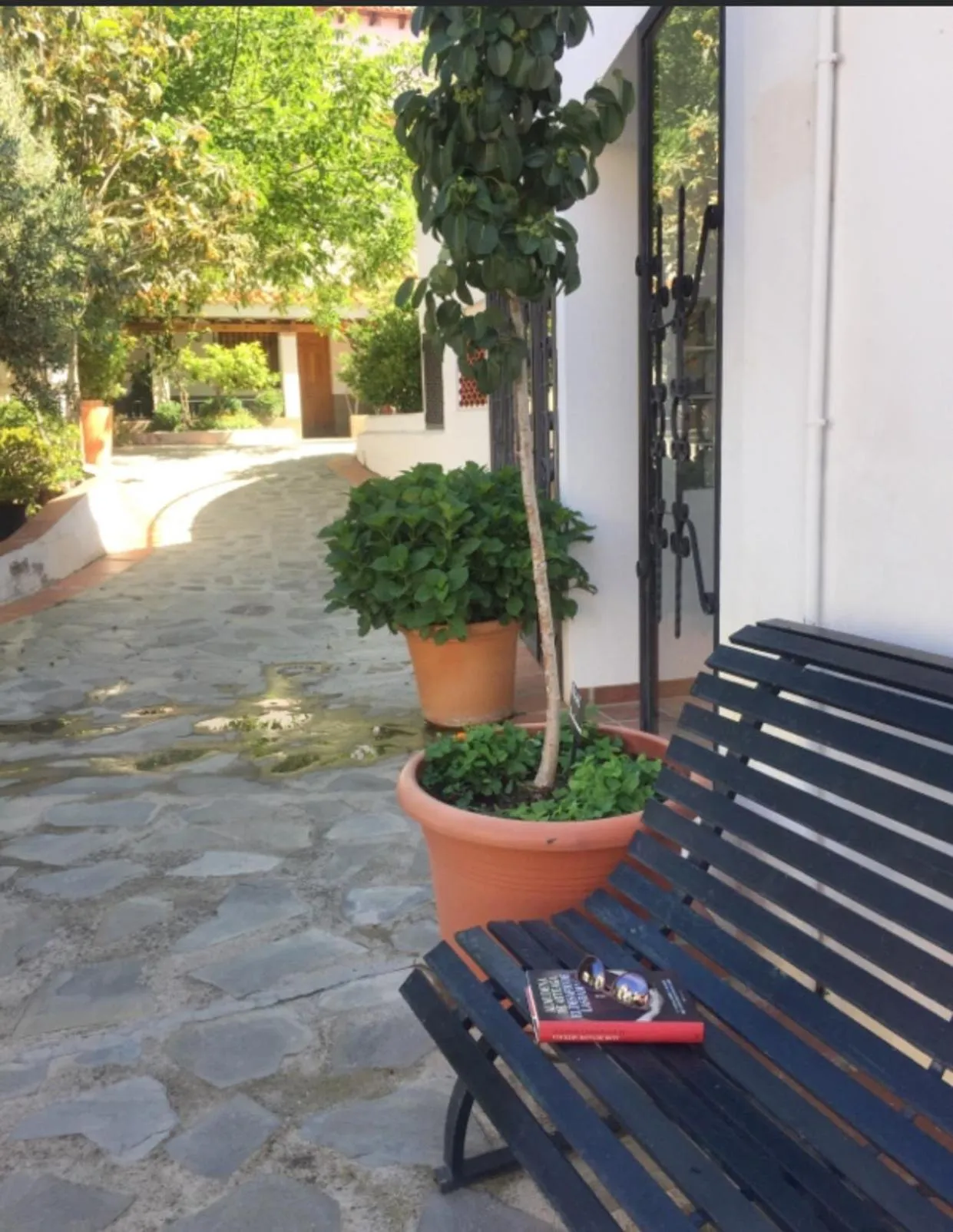 Patio in Hotel Alcadima