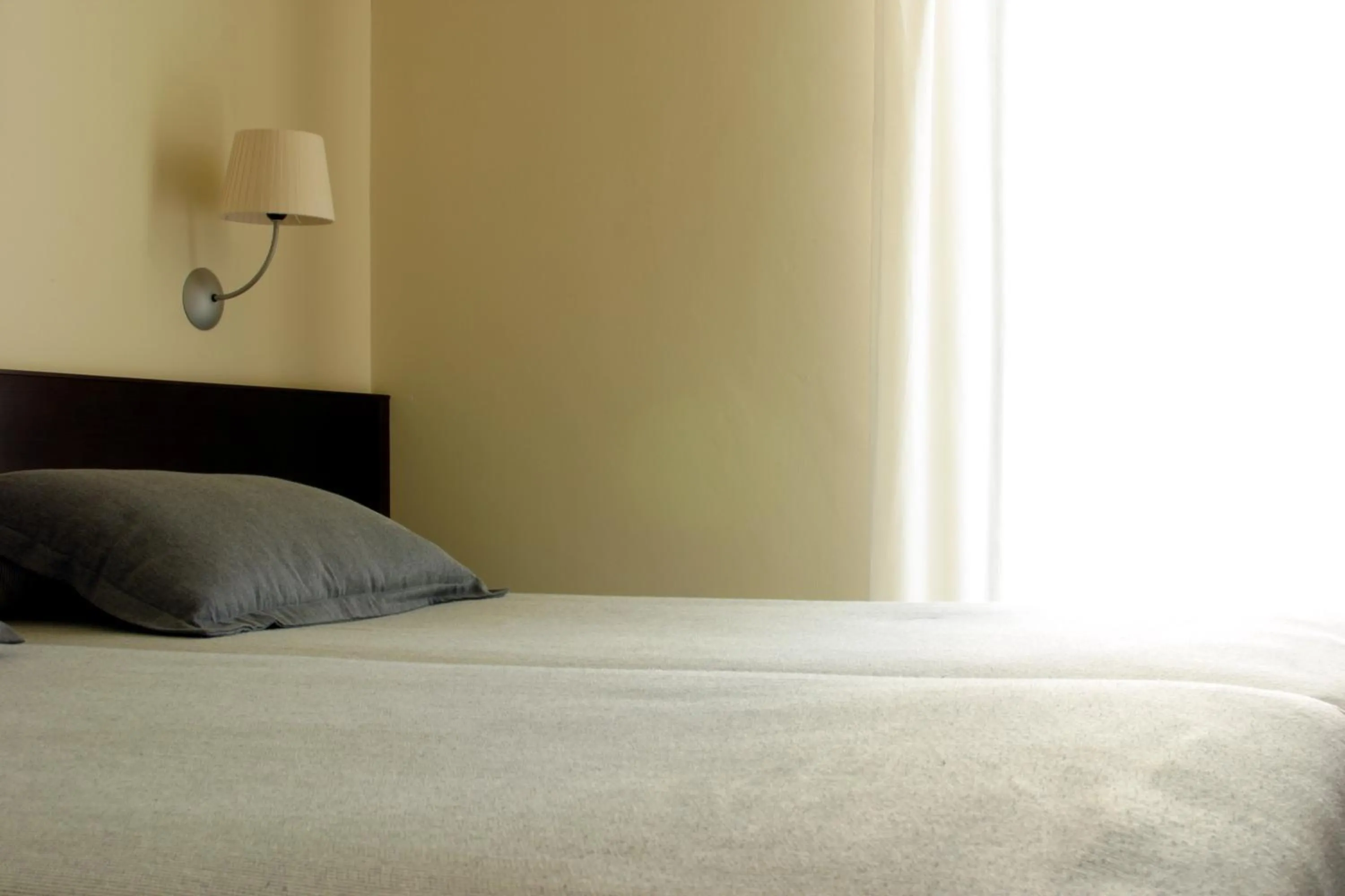 Double Room - single occupancy in Hotel Torres