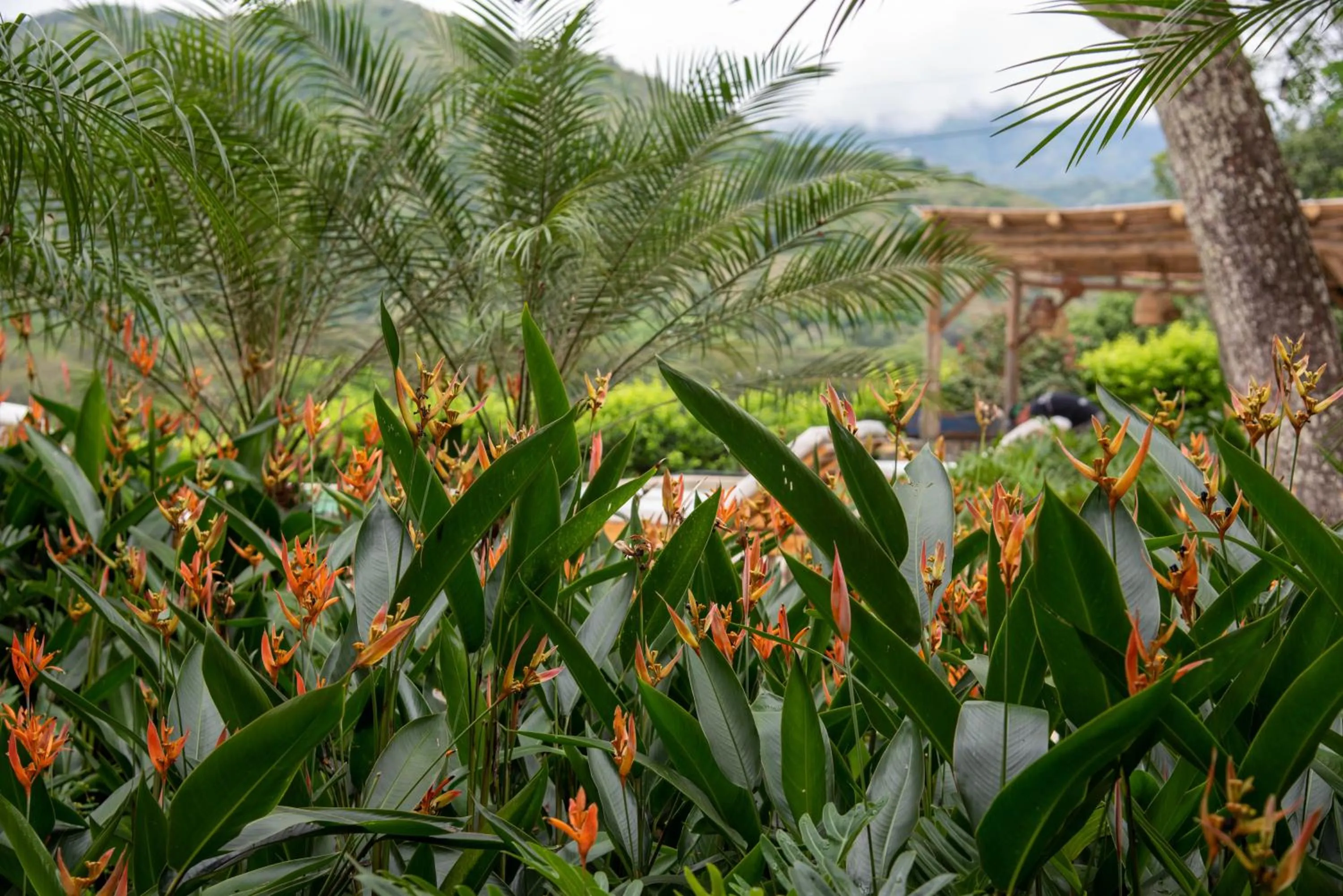 Natural landscape in Nativa Refugio Escondido