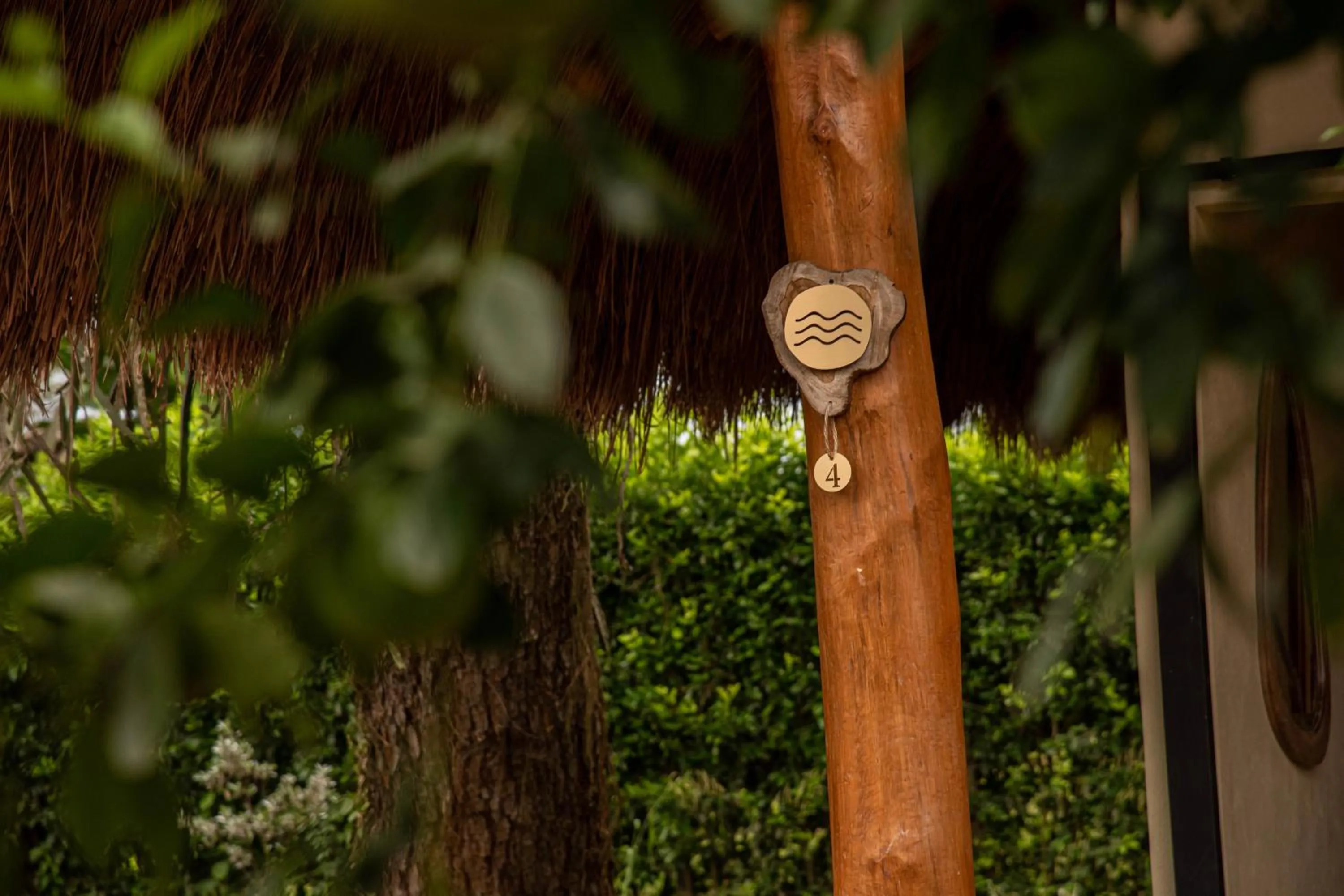 Garden in Nativa Refugio Escondido