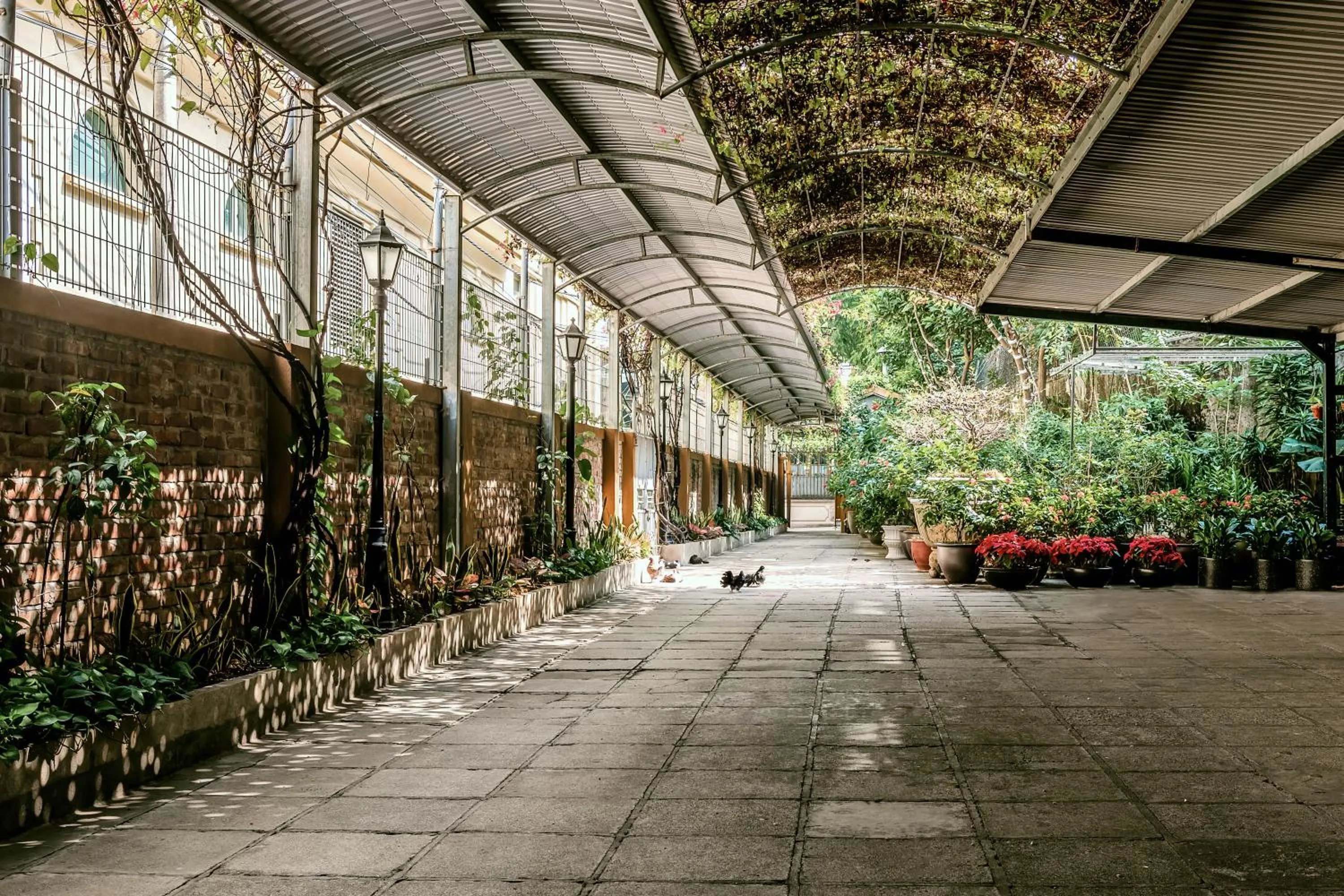 Garden in Trang Thanh Luxury Apartment