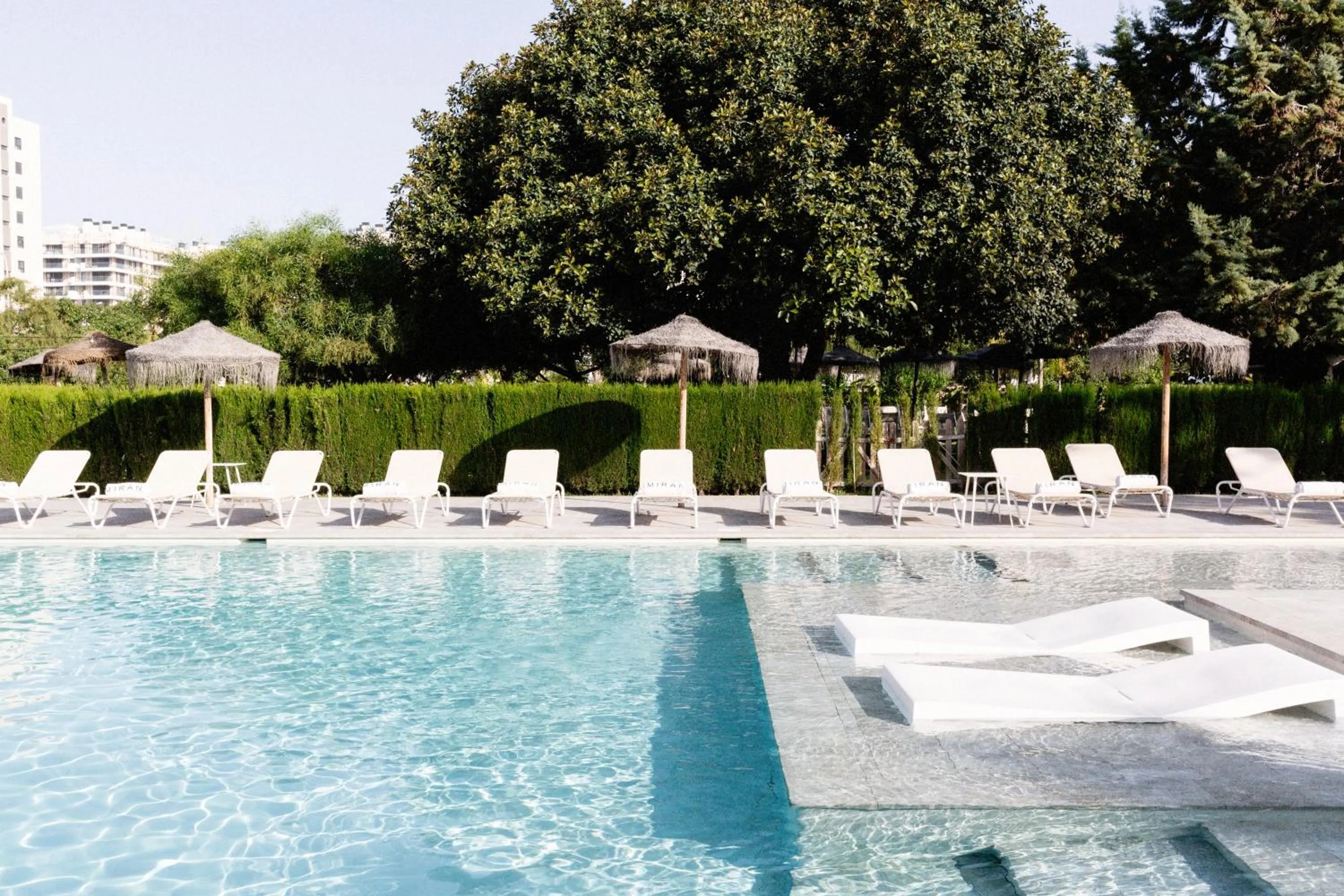 Garden in Hotel Almirante