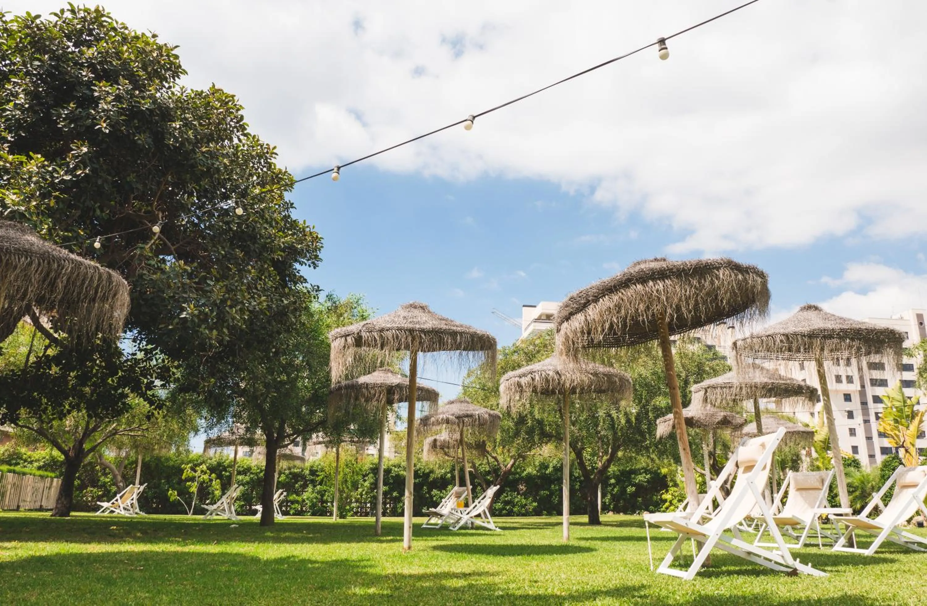 Garden in Hotel Almirante