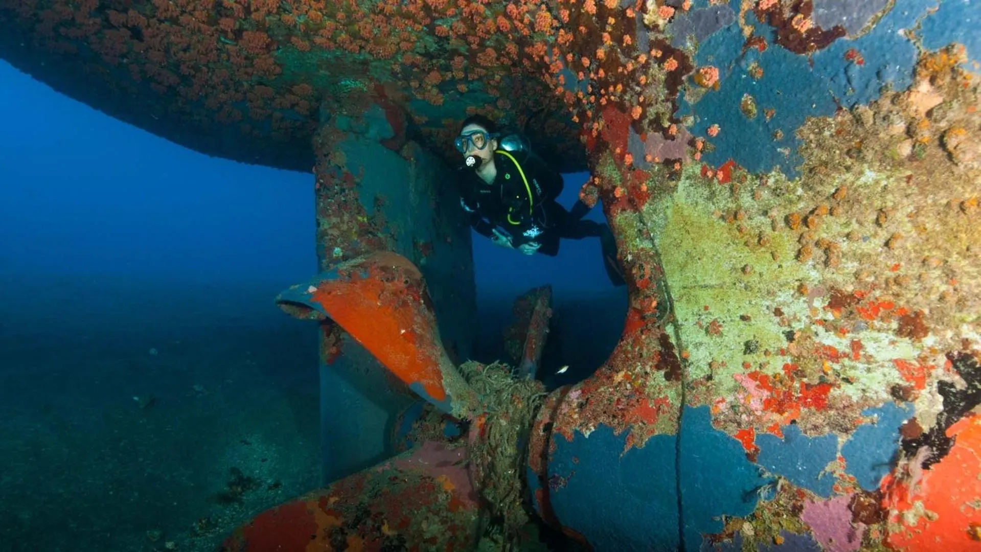 Activities in Quill Gardens Boutique Hotel