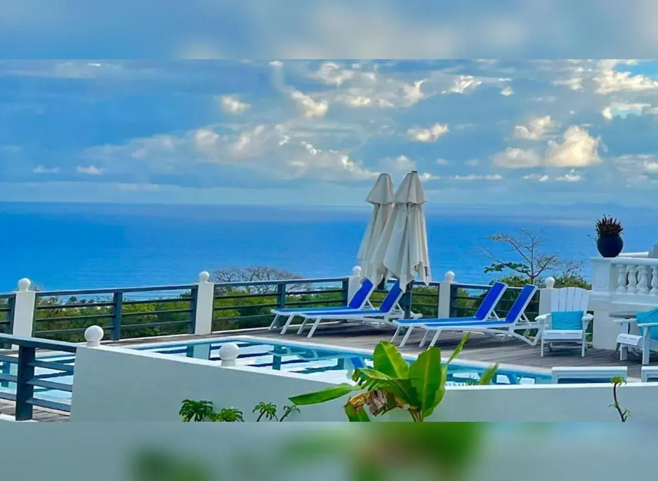 Swimming pool in Quill Gardens Boutique Hotel Swimming pool in Quill Gardens Boutique Hotel