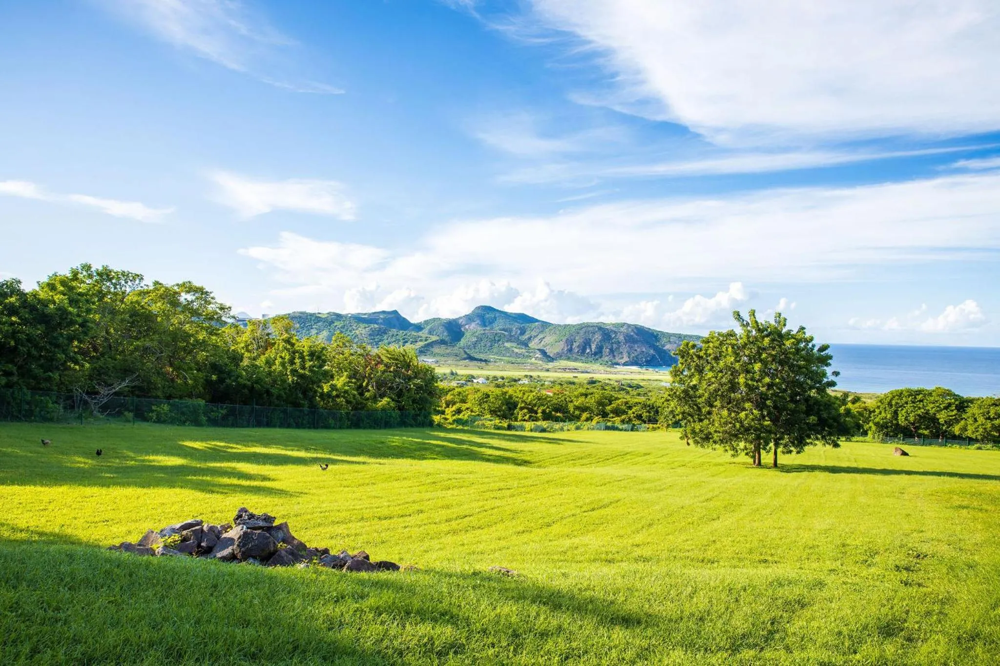 Natural landscape in Quill Gardens Boutique Hotel