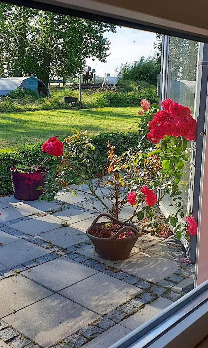 Garden view in Farmors Hus