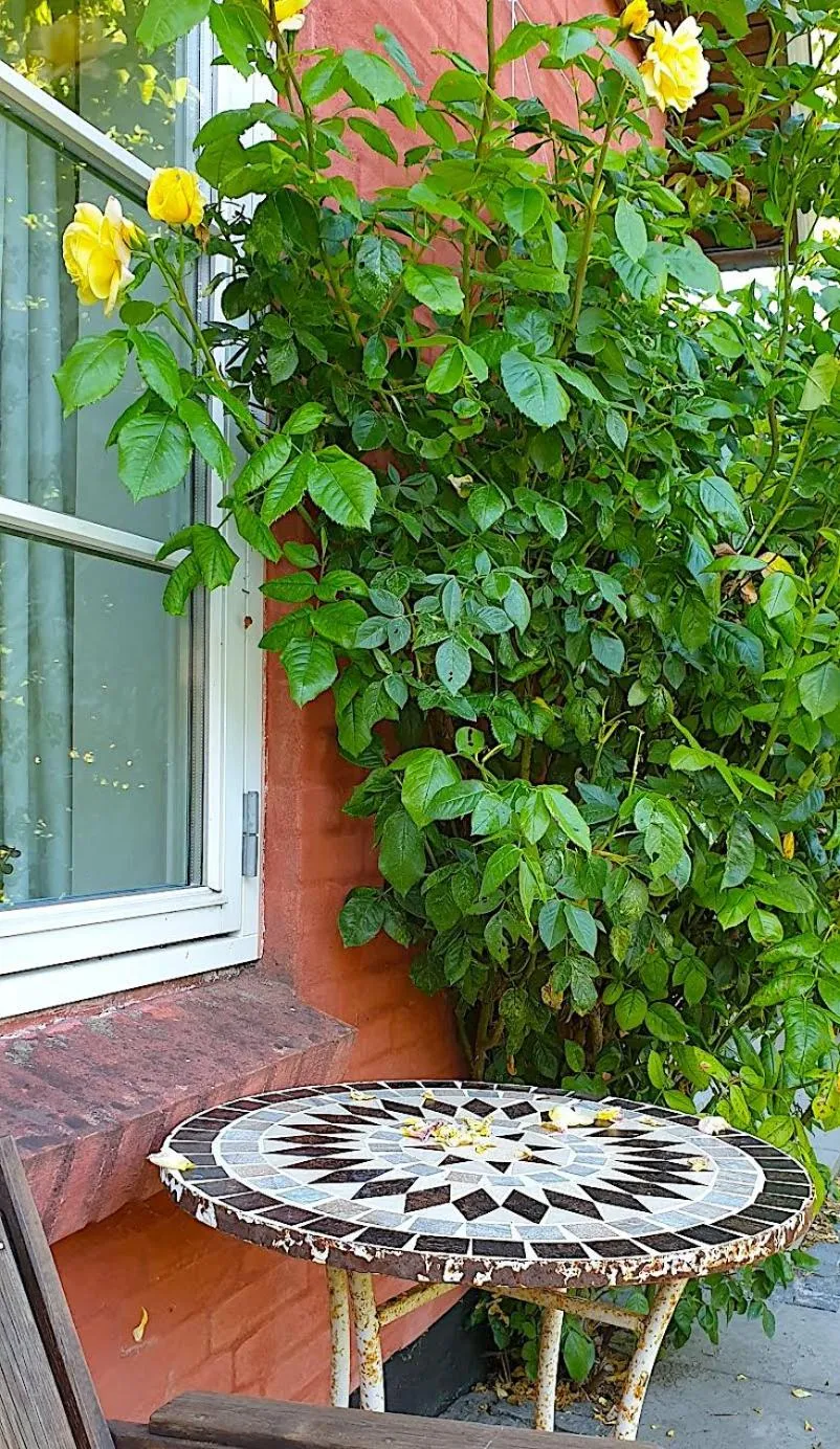 View (from property/room) in Farmors Hus