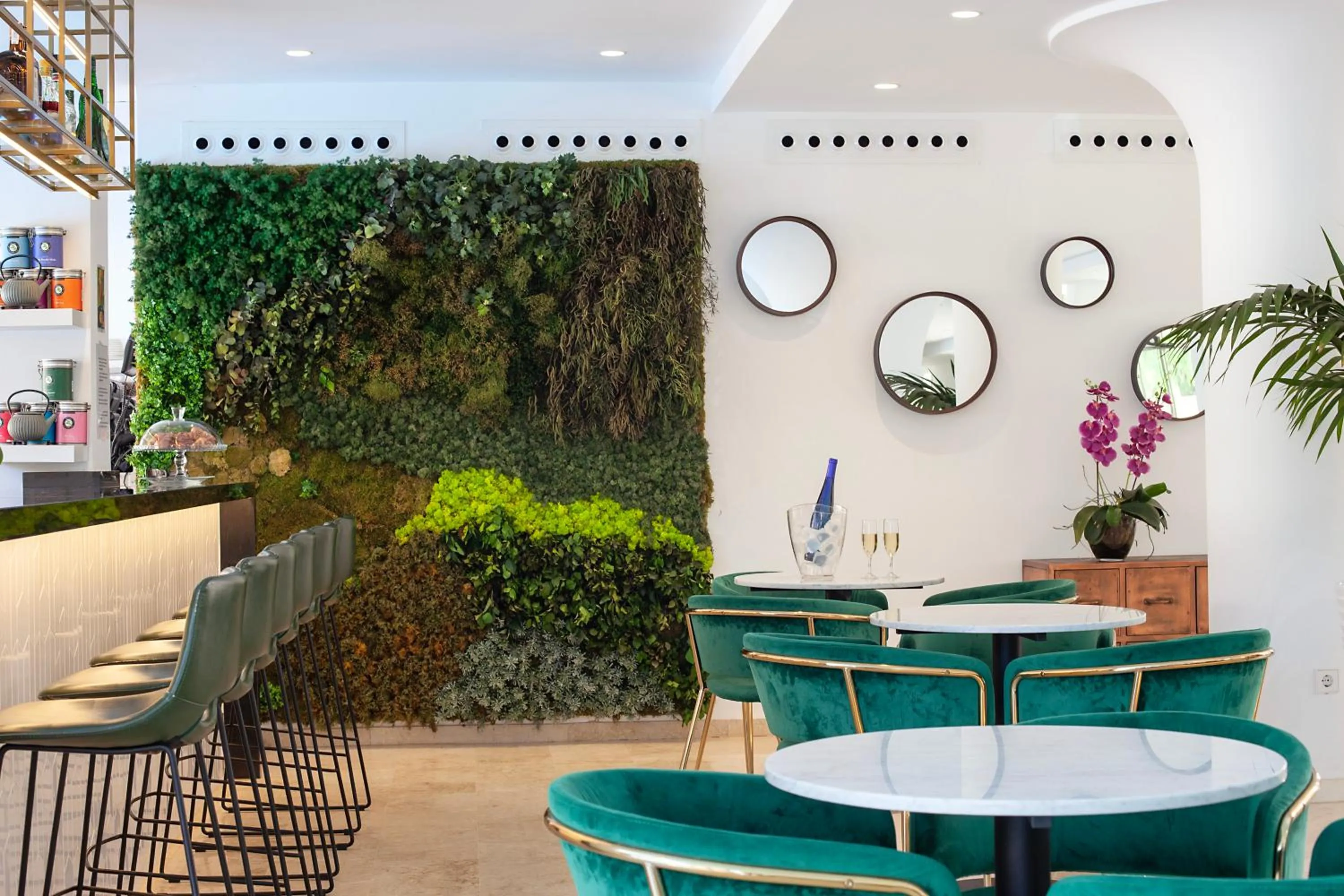 Lounge or bar in Hotel Torá