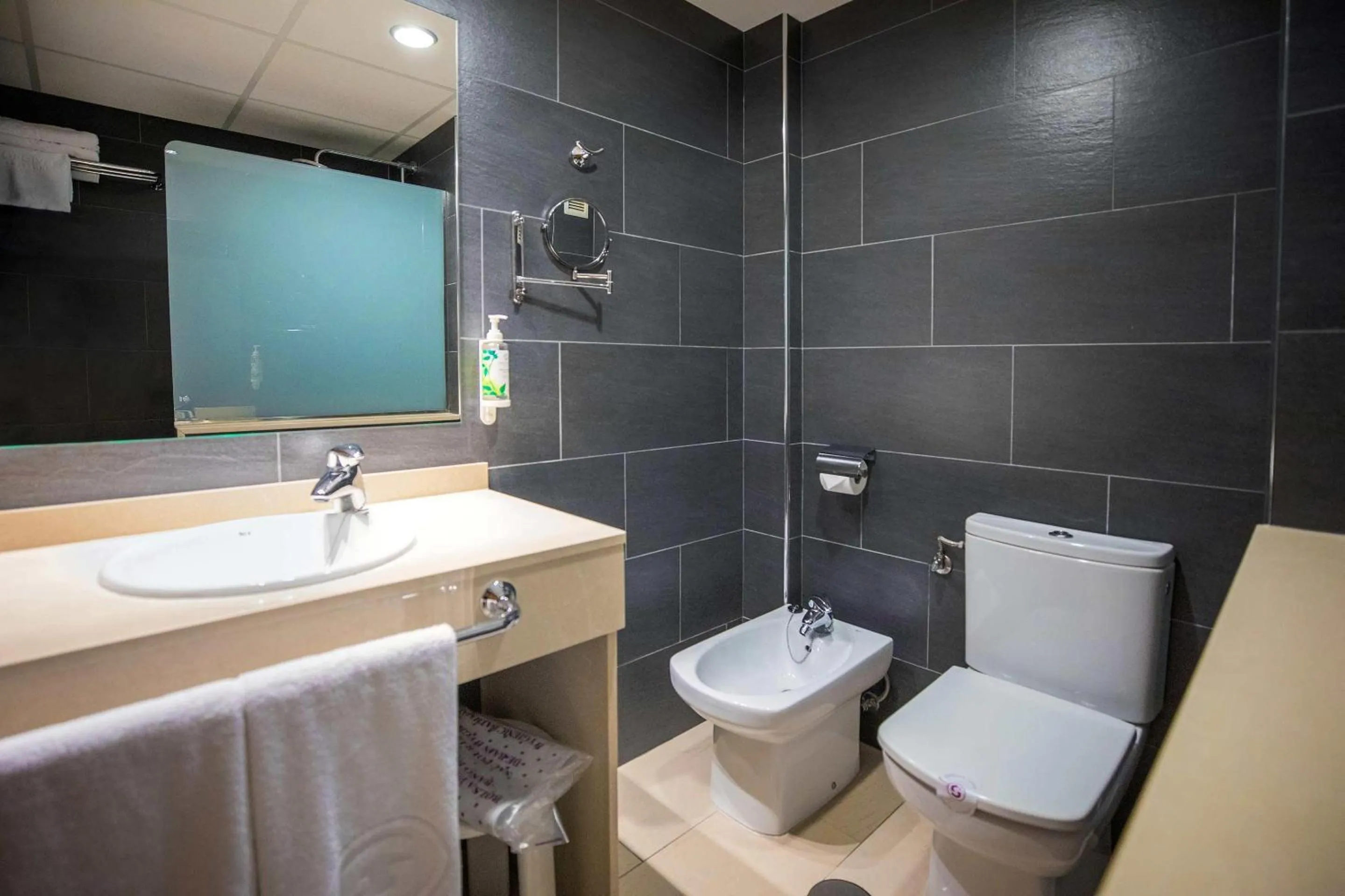 Bathroom in Hotel Servigroup Papa Luna 4 Sup