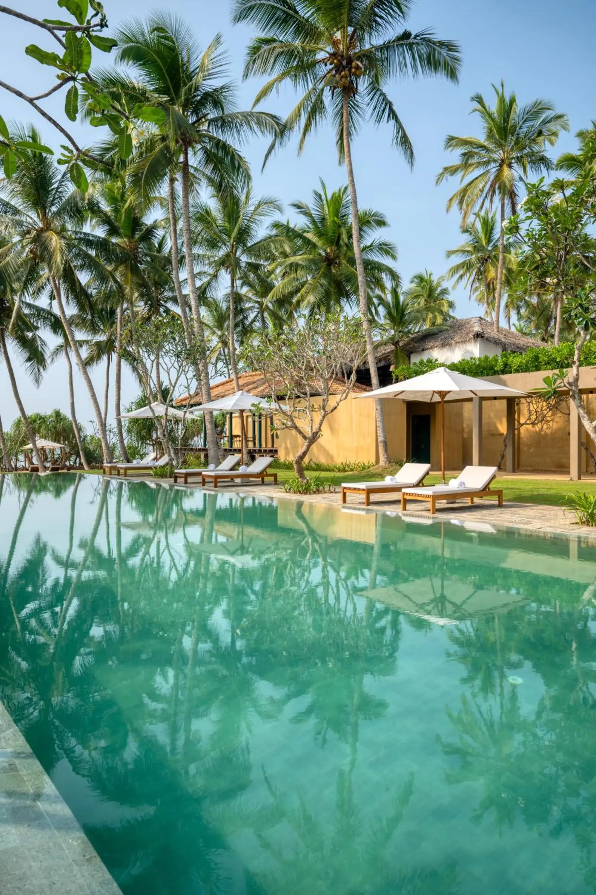Pool view in Kayaam Wellness Pool view in Kayaam Wellness