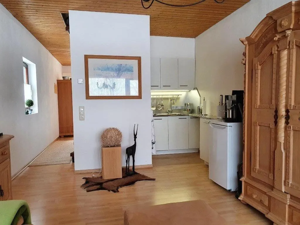 Kitchen or kitchenette in Apartment Tauplitz Kulmhof