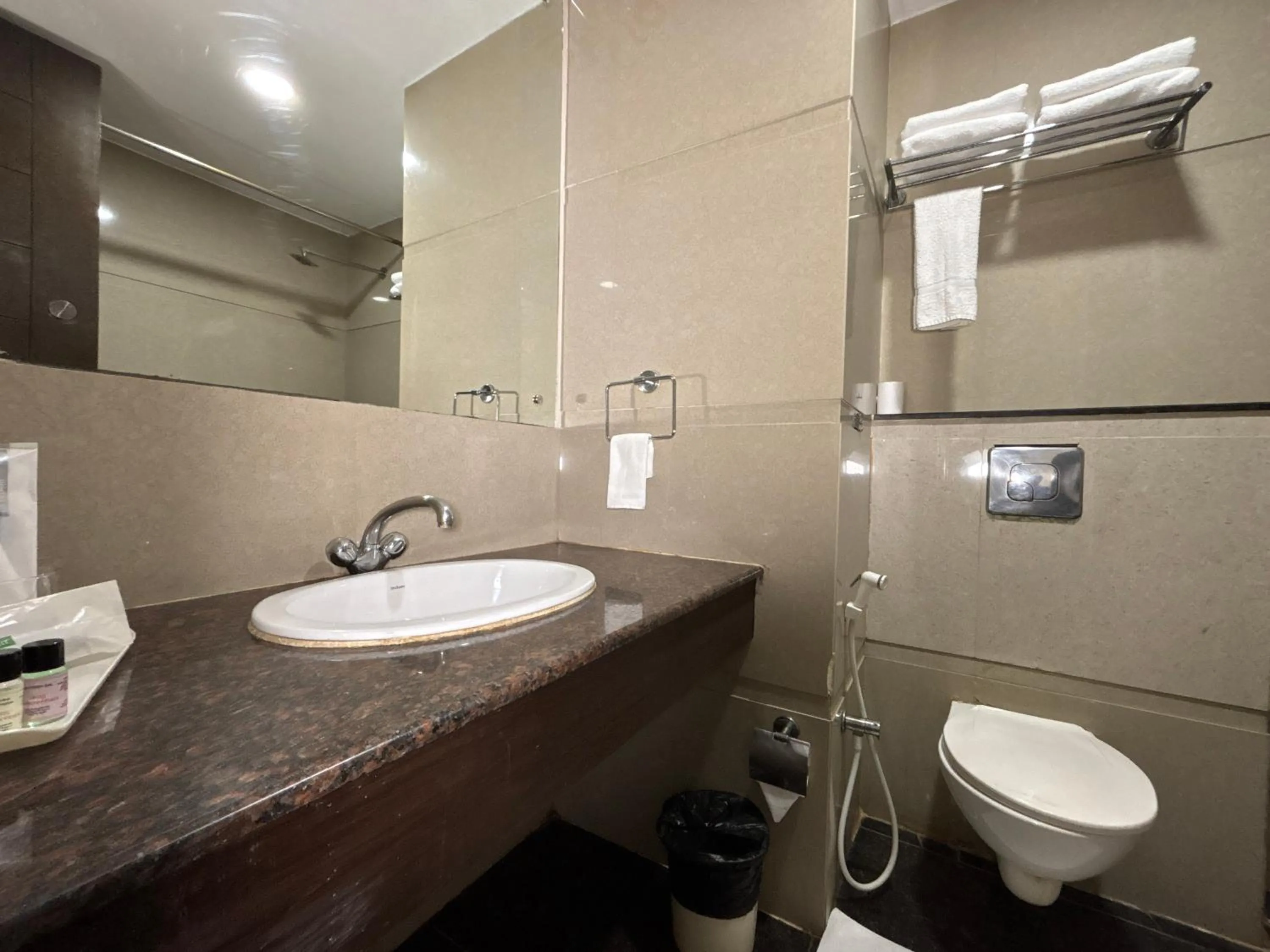 Shower in Hotel Crimson Palace