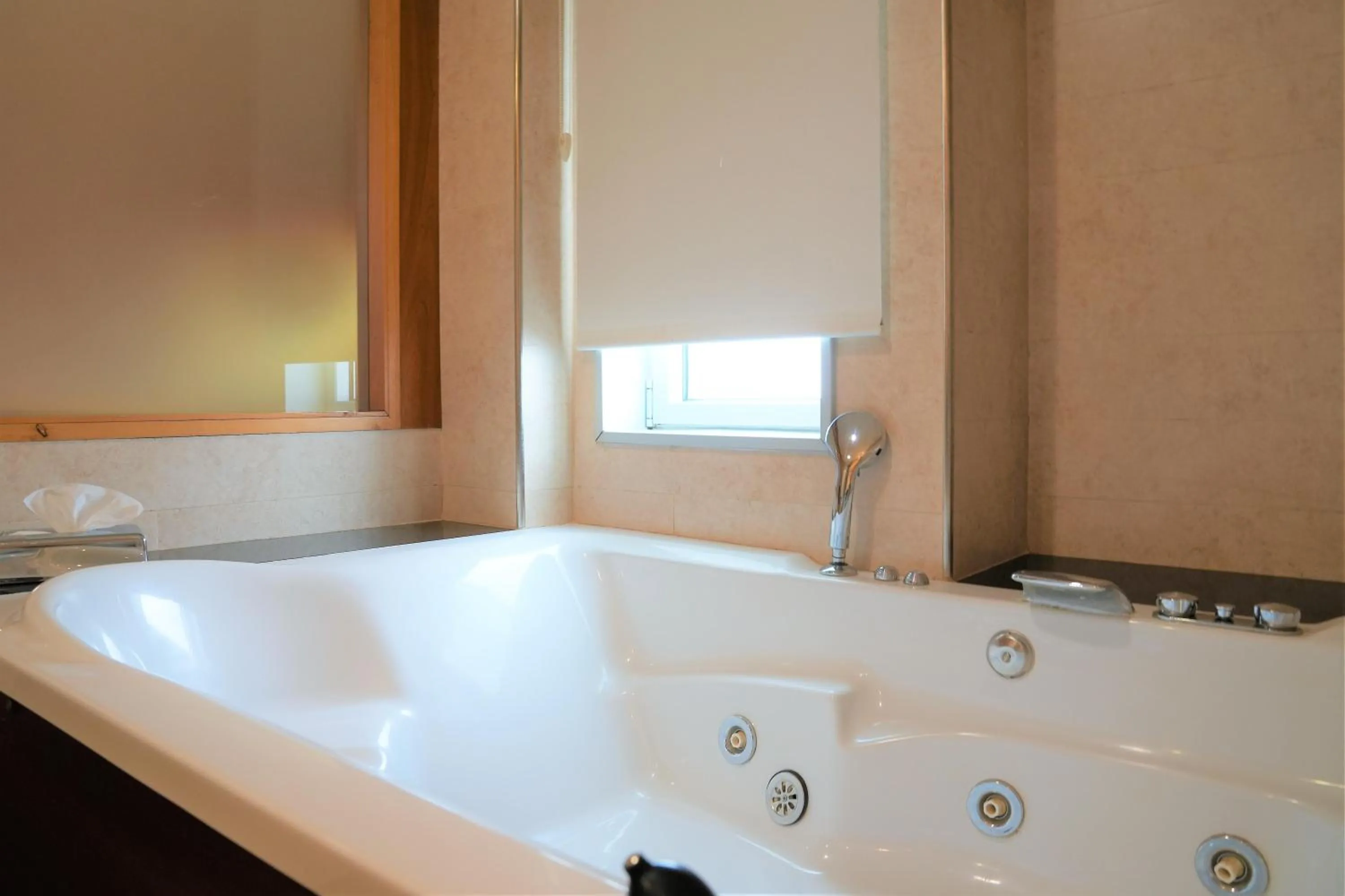 Bathroom in Port Azafata Valencia