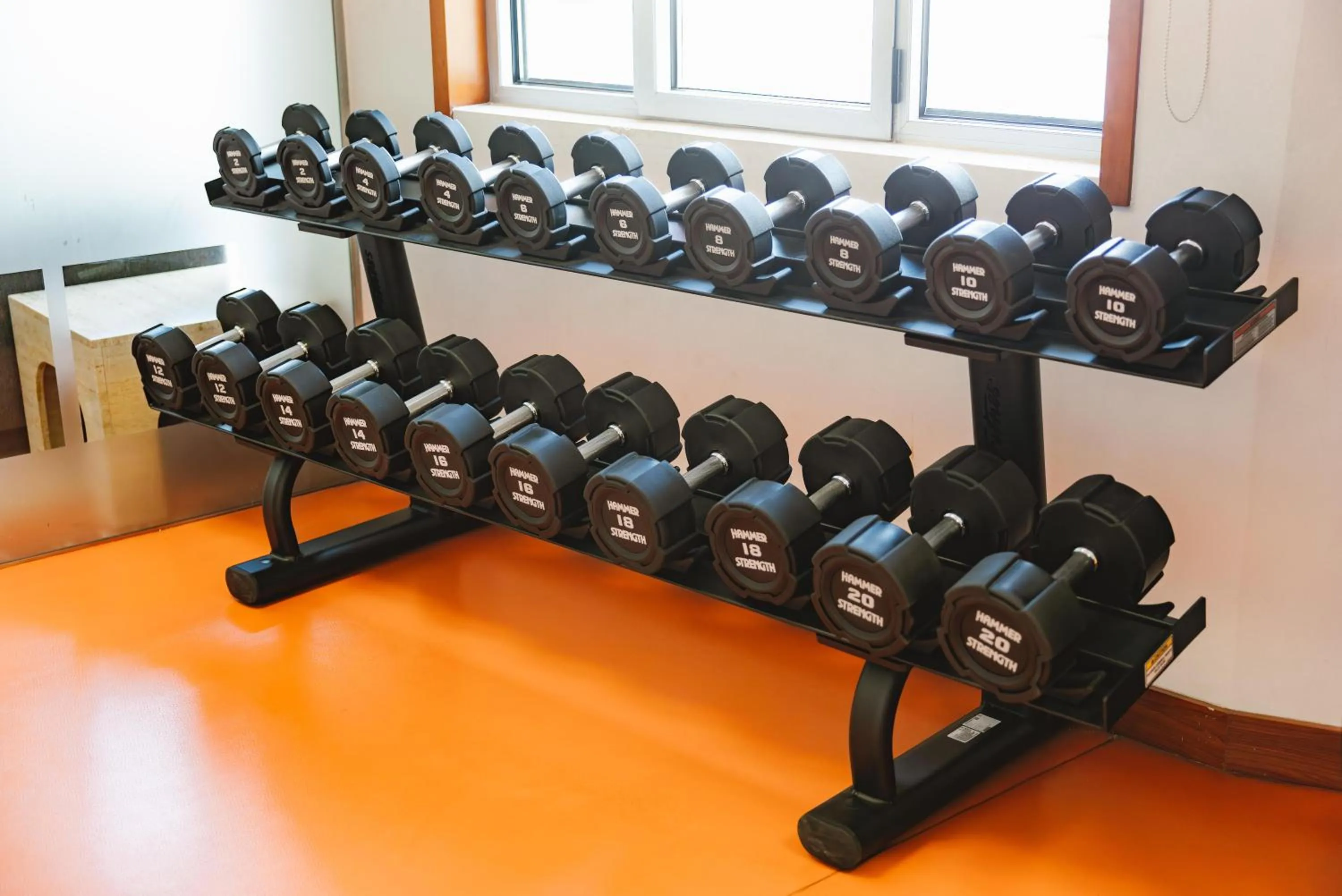 Activities in Port Azafata Valencia