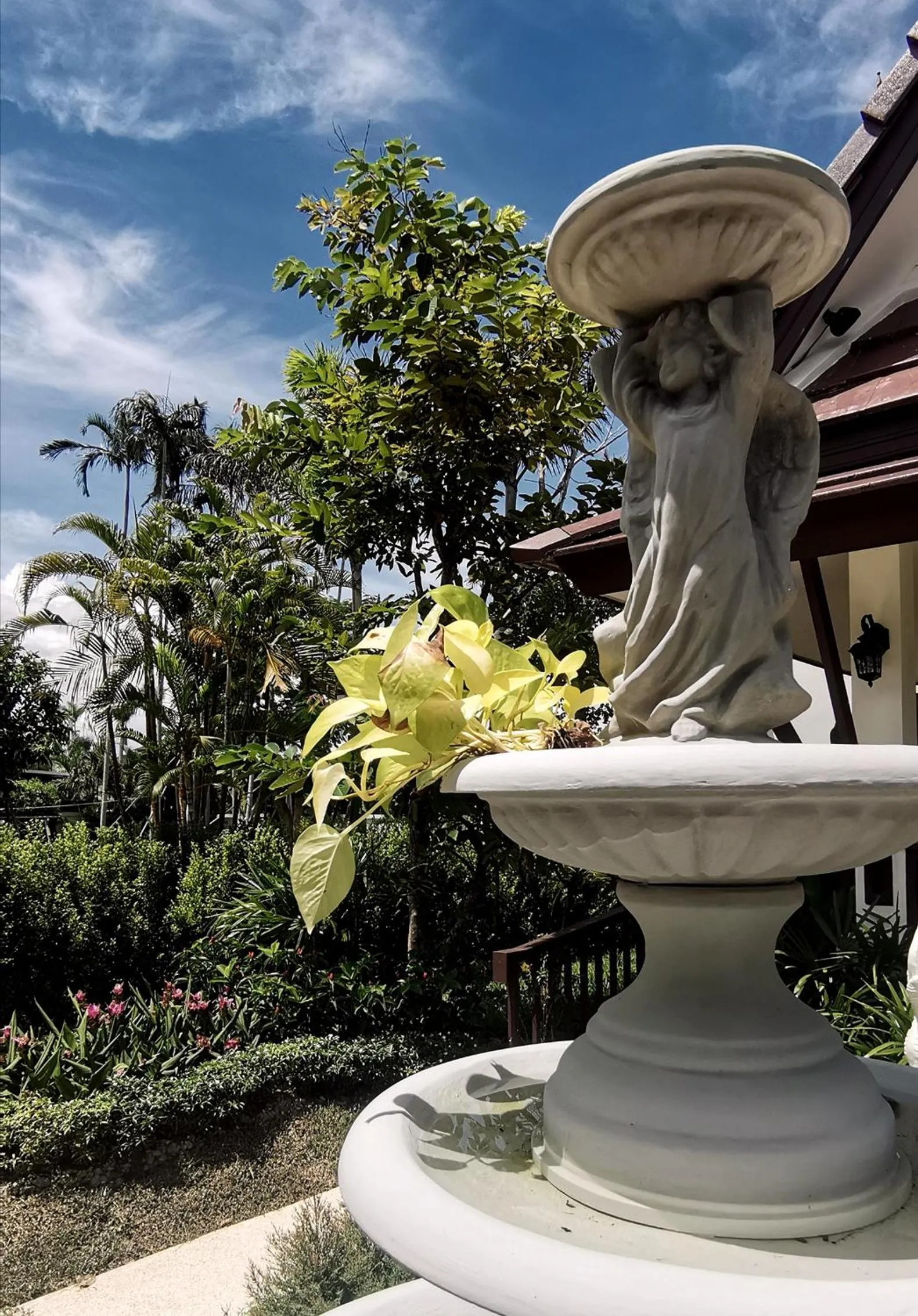 Garden in Rice Villa Chiang Mai