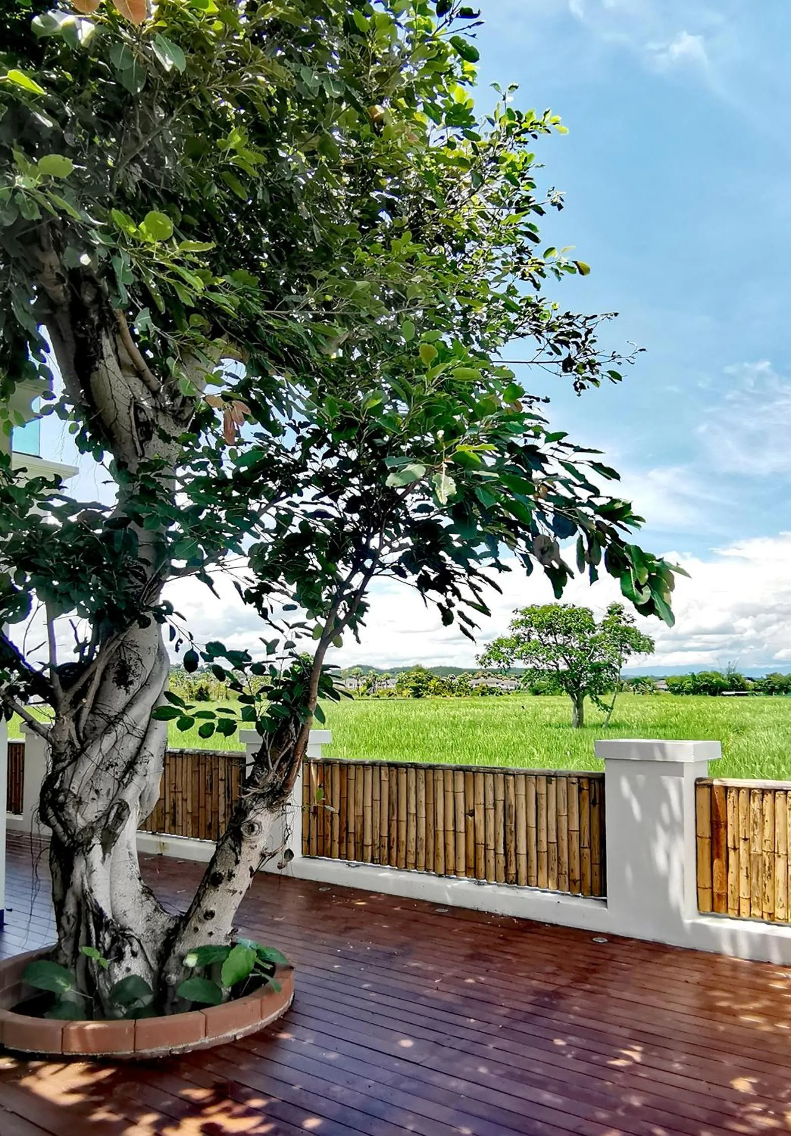 Natural landscape in Rice Villa Chiang Mai